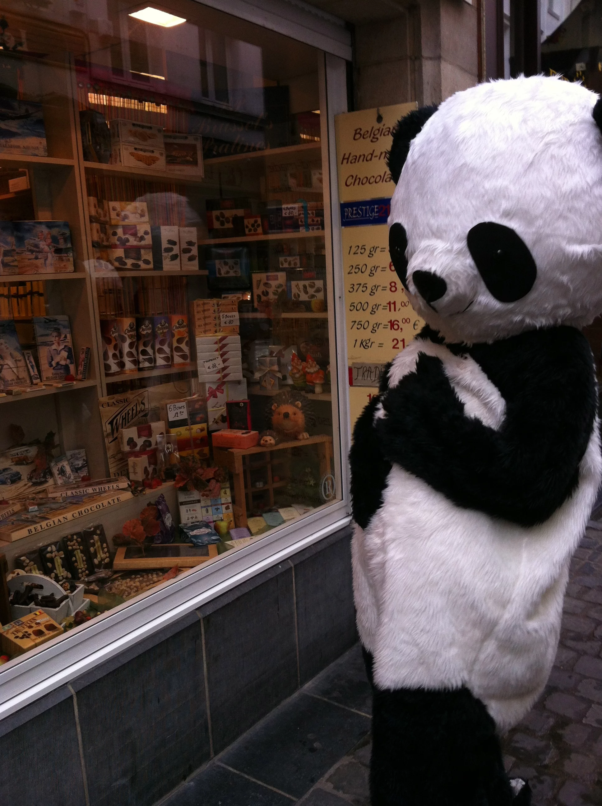 Chengdu Pambassador 2012 Promotion Tour in Brussels