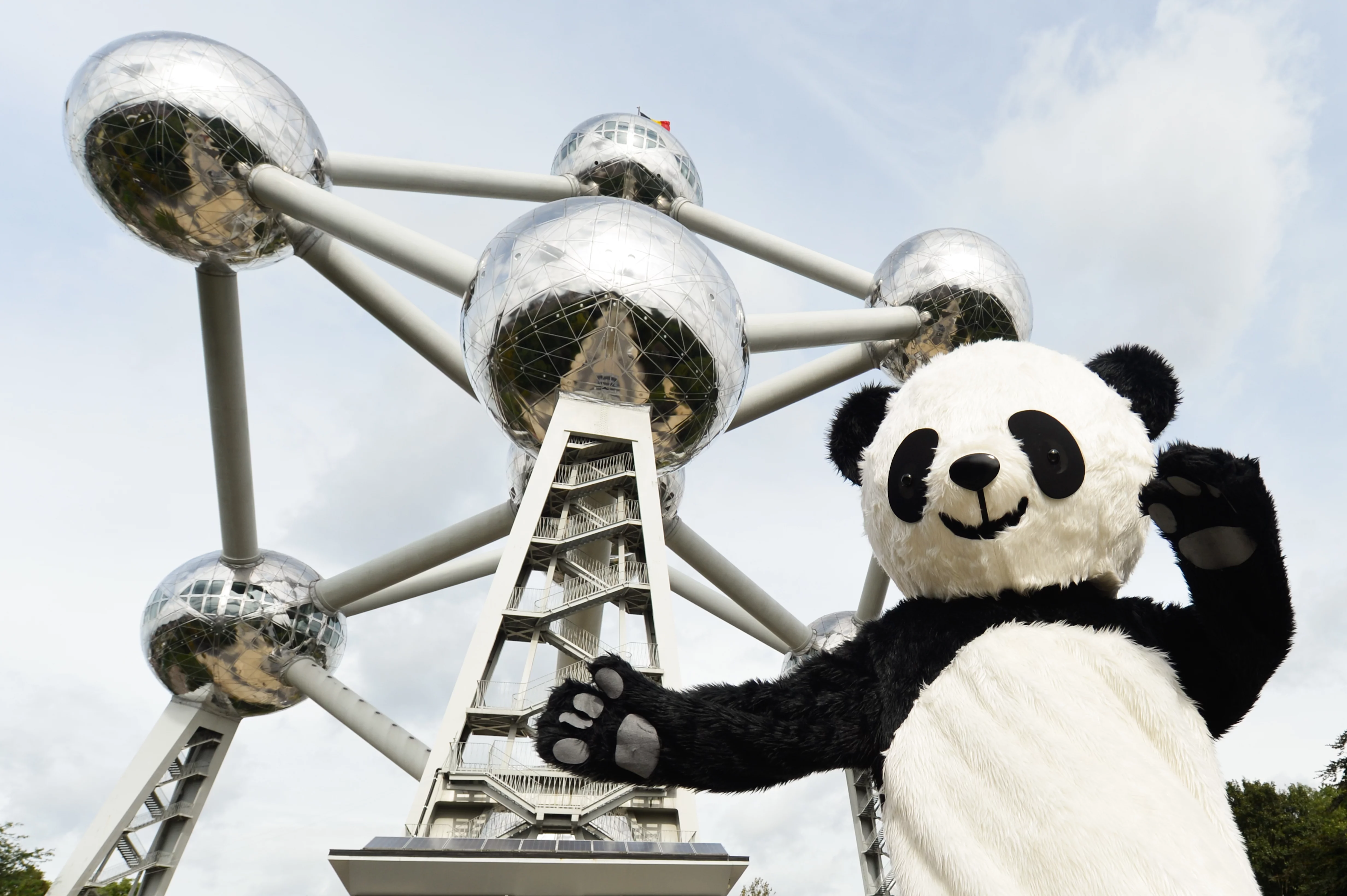 Chengdu Pambassador 2012 Promotion Tour in Brussels