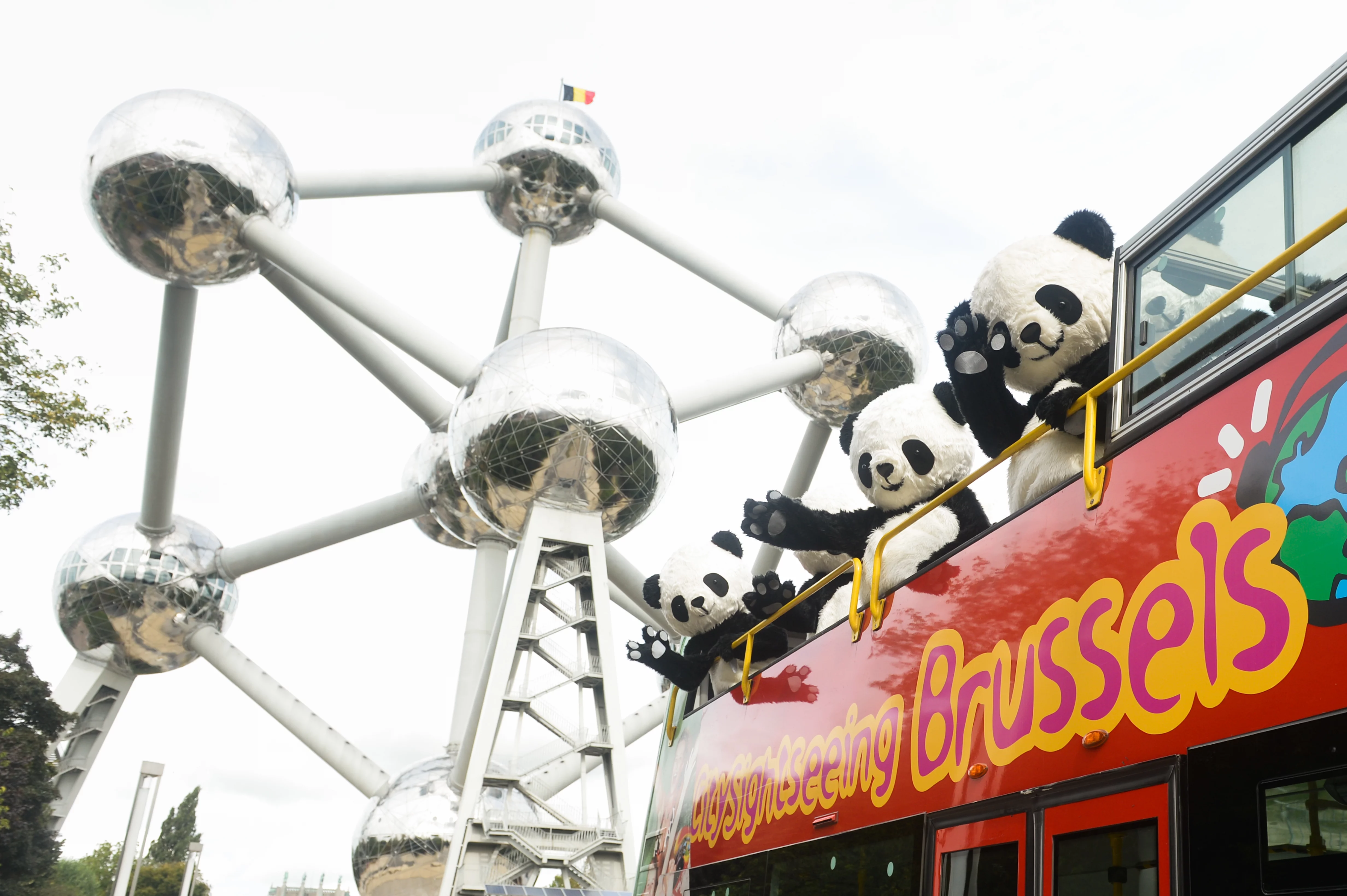 Chengdu Pambassador 2012 Promotion Tour in Brussels