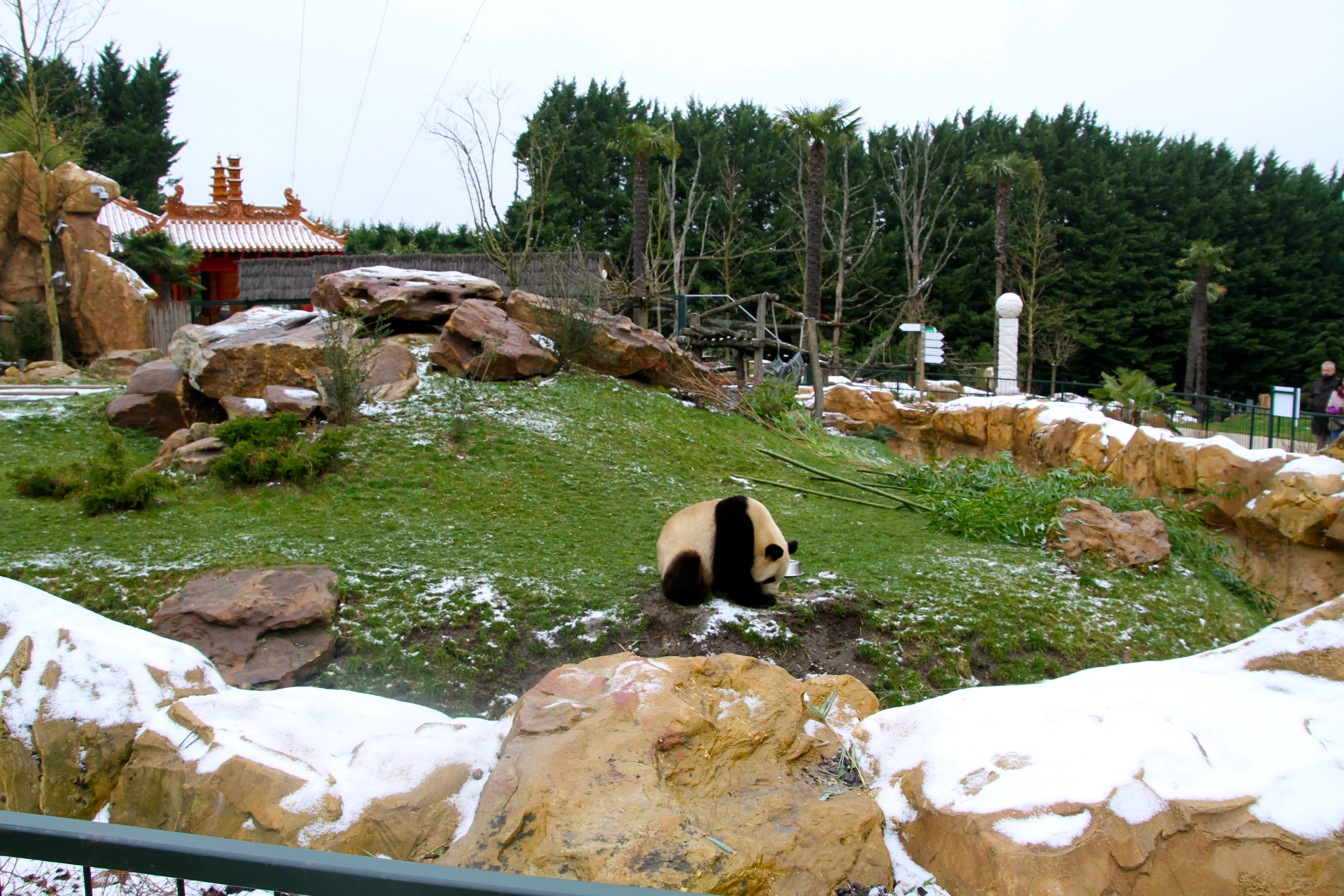 ZooParc de Beauval