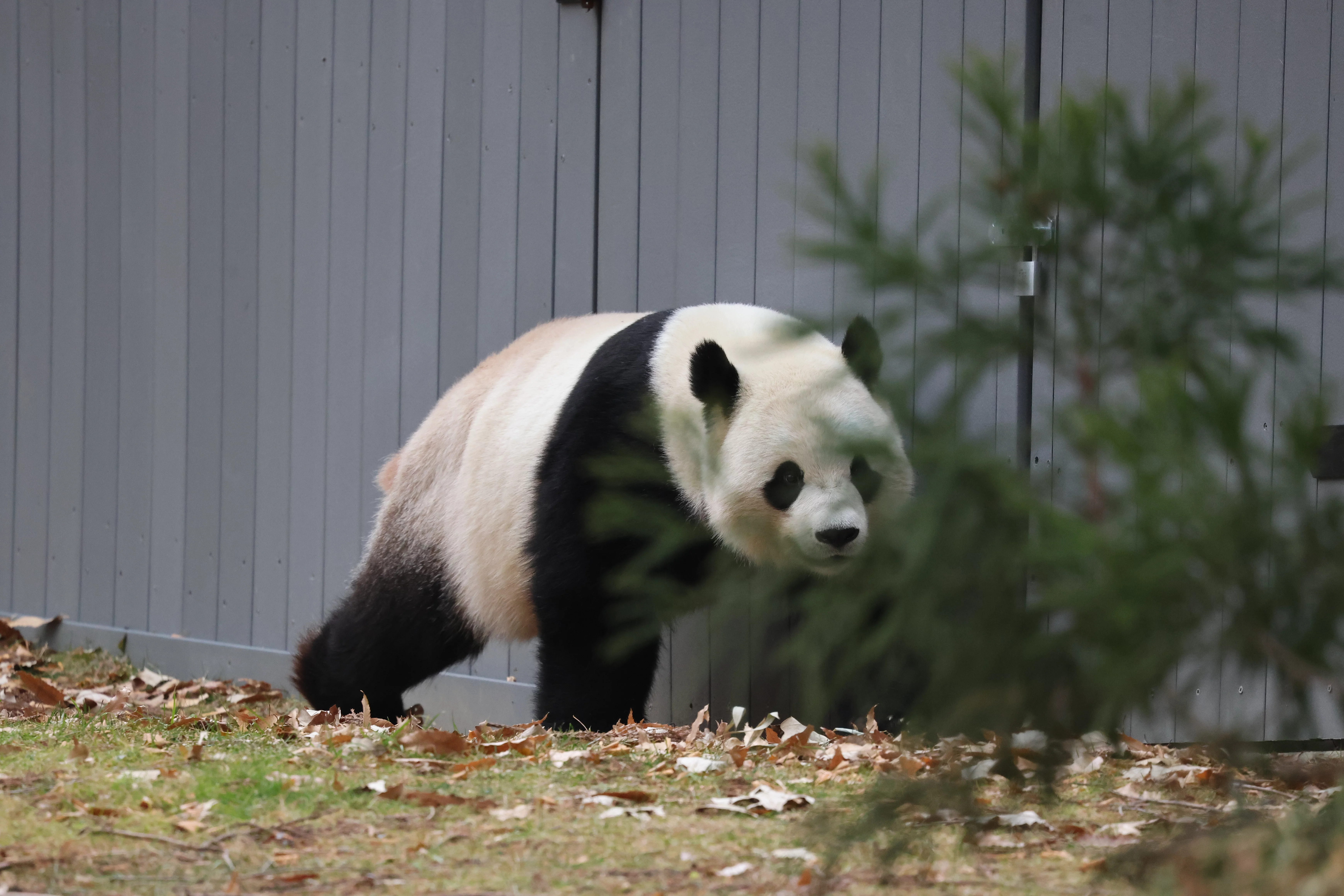Smithsonian's National Zoo