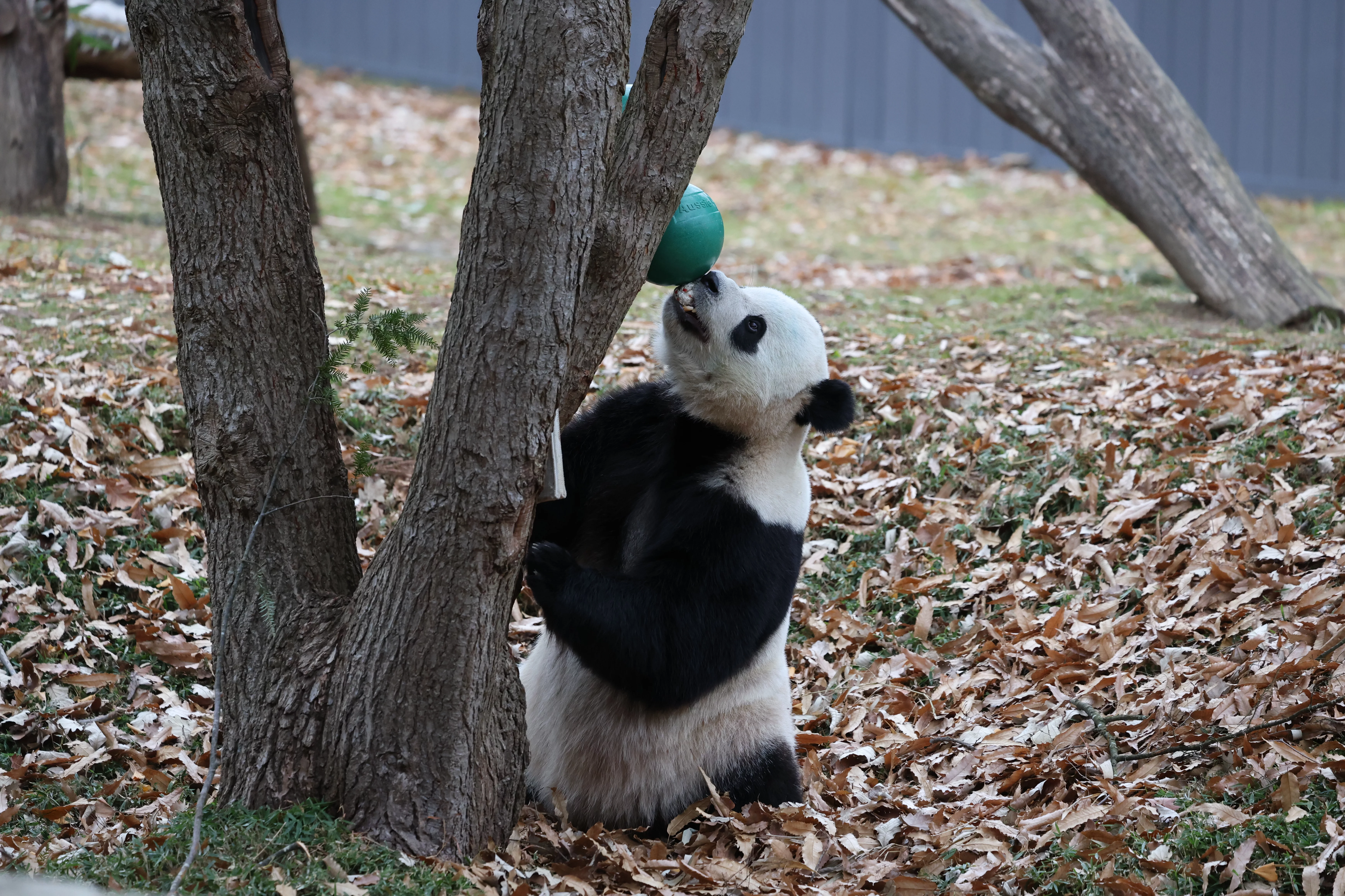 Smithsonian's National Zoo