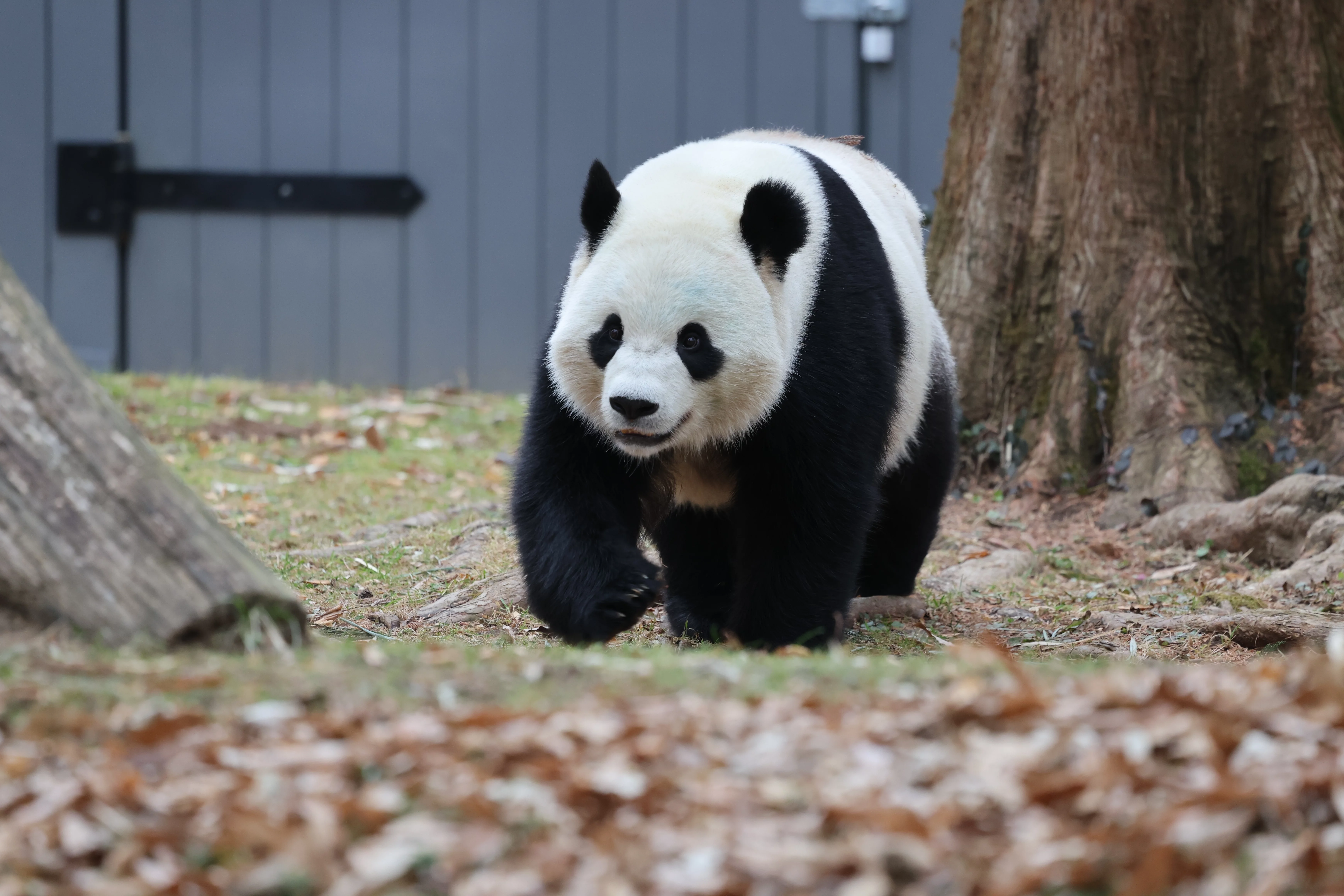 Smithsonian's National Zoo