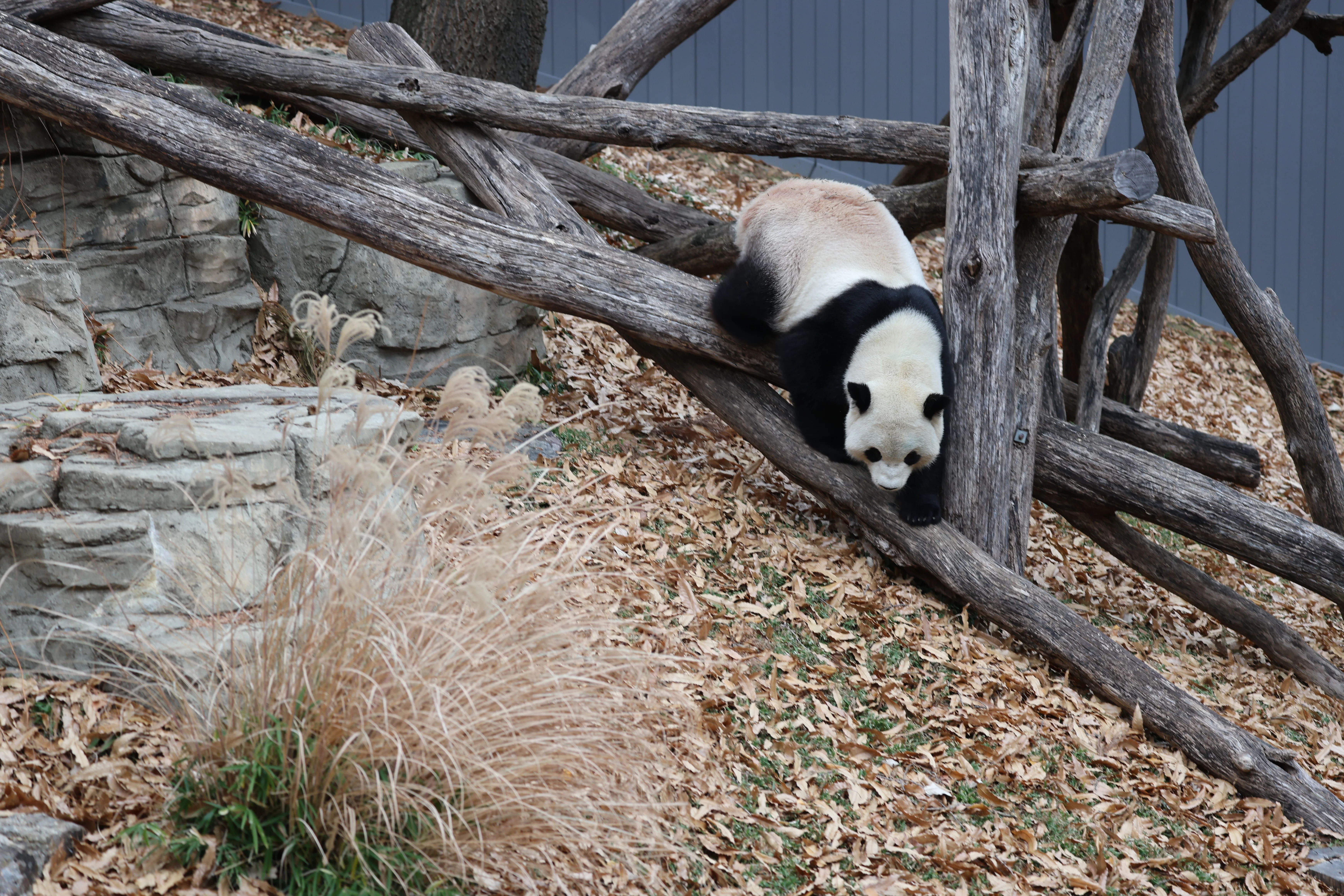 Smithsonian's National Zoo