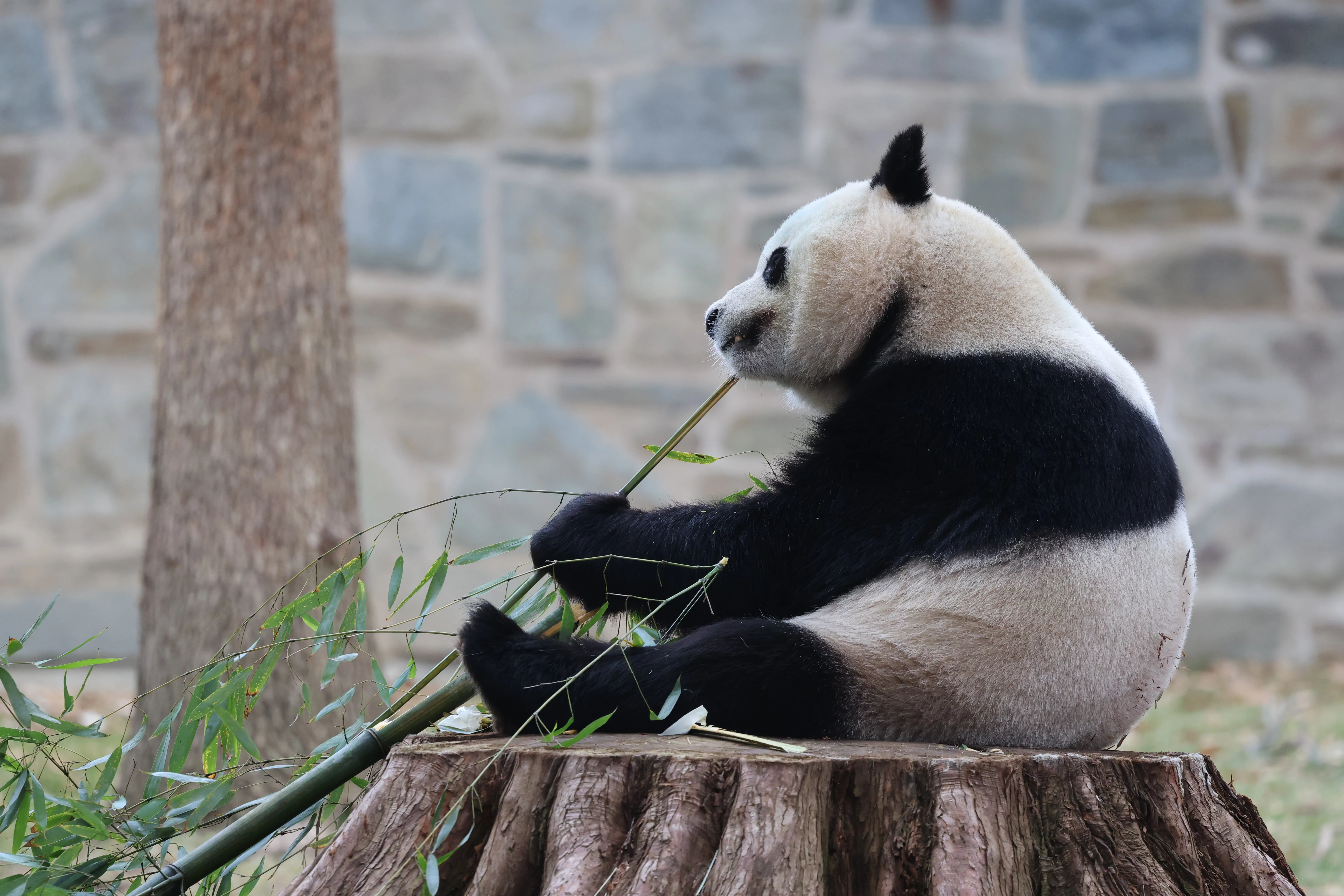 Smithsonian's National Zoo