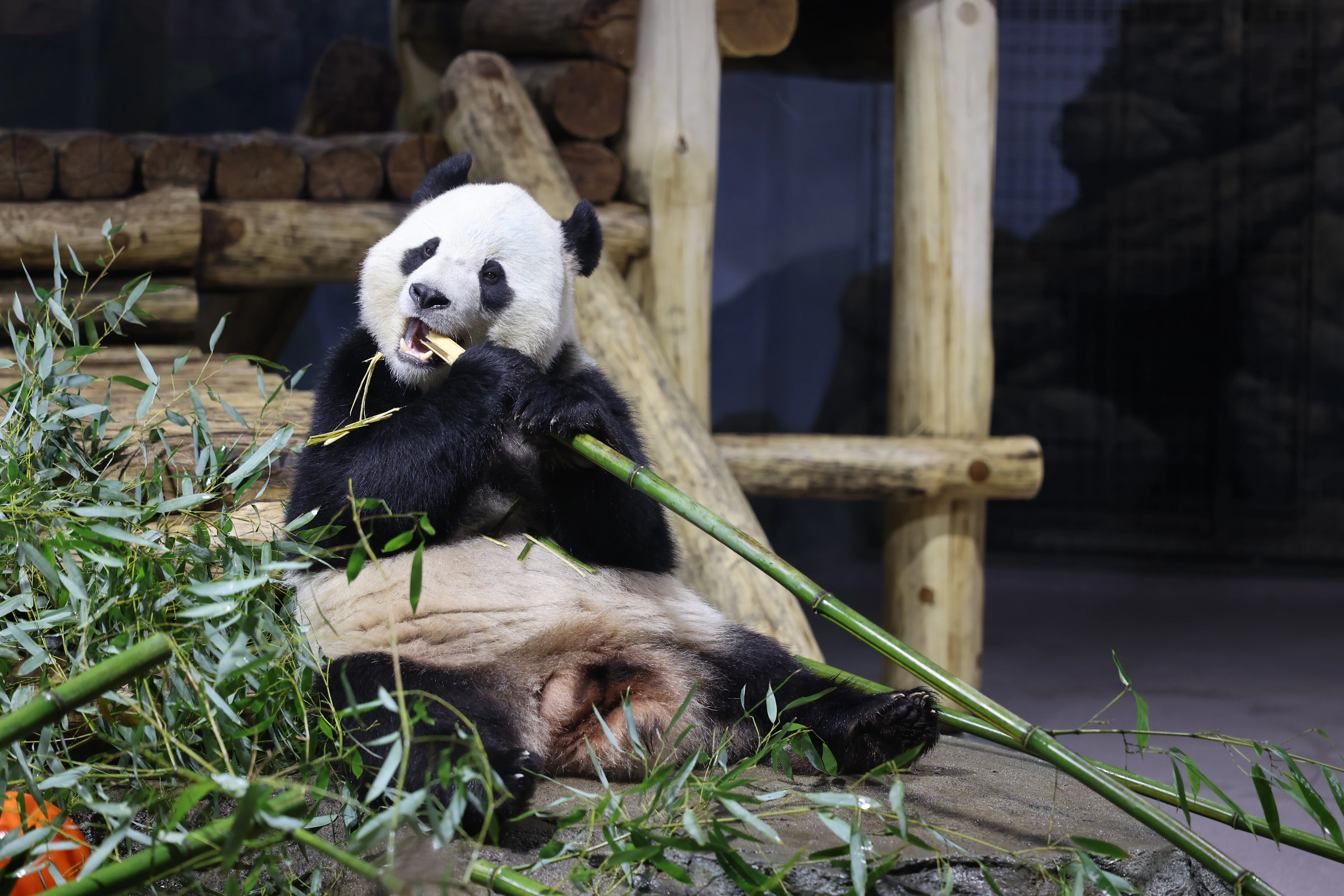Smithsonian's National Zoo