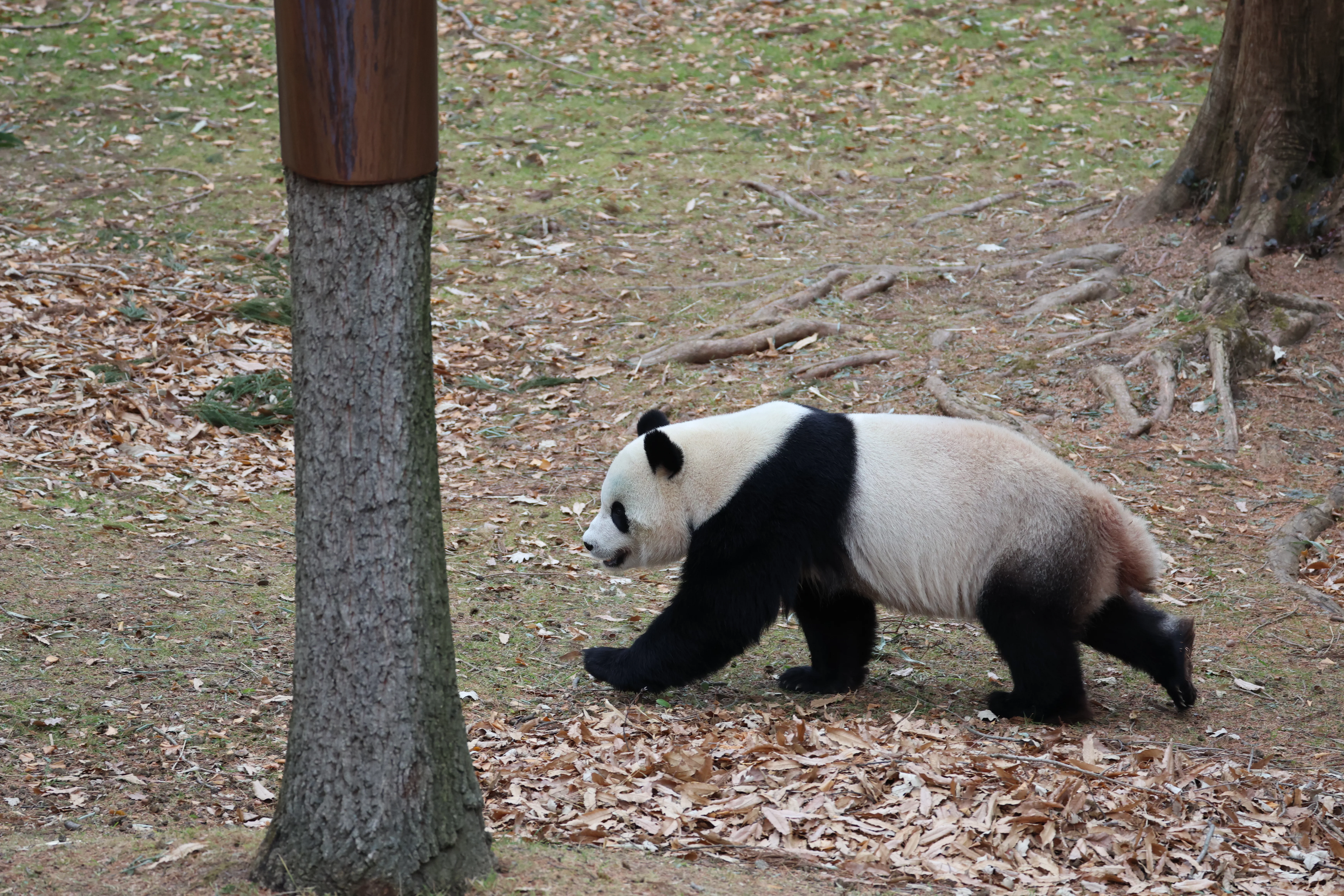 Smithsonian's National Zoo