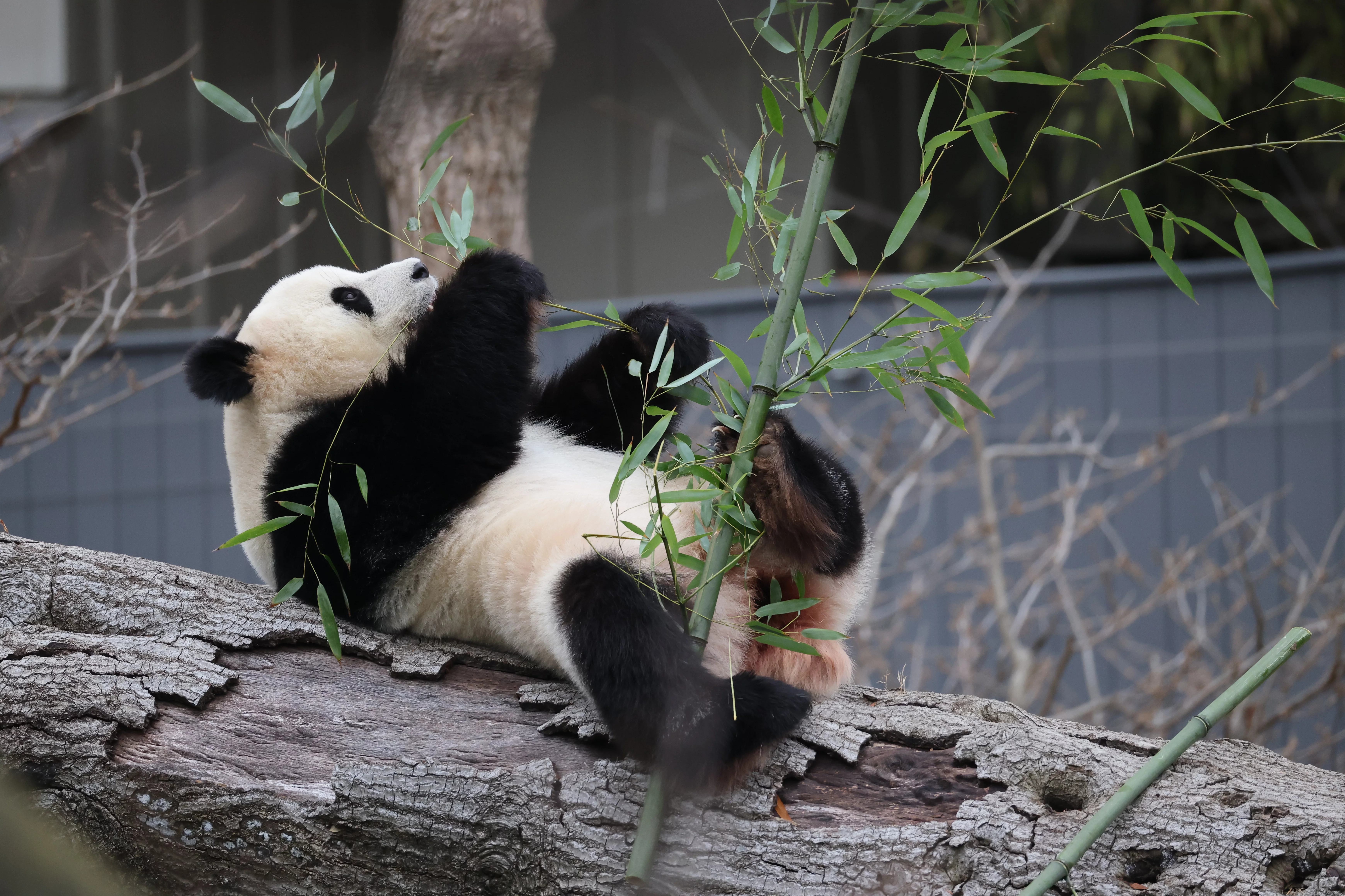 Smithsonian's National Zoo