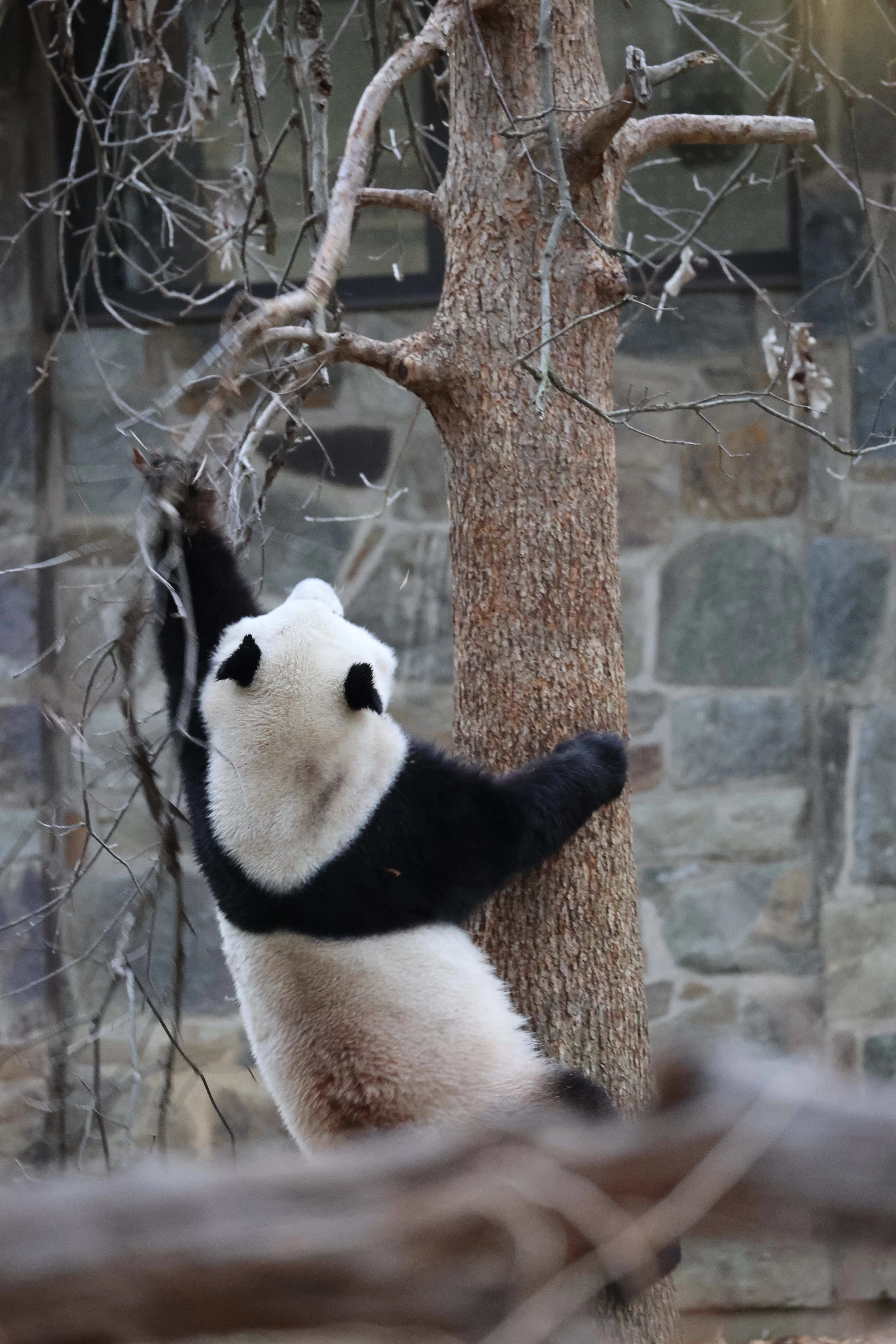 Smithsonian's National Zoo