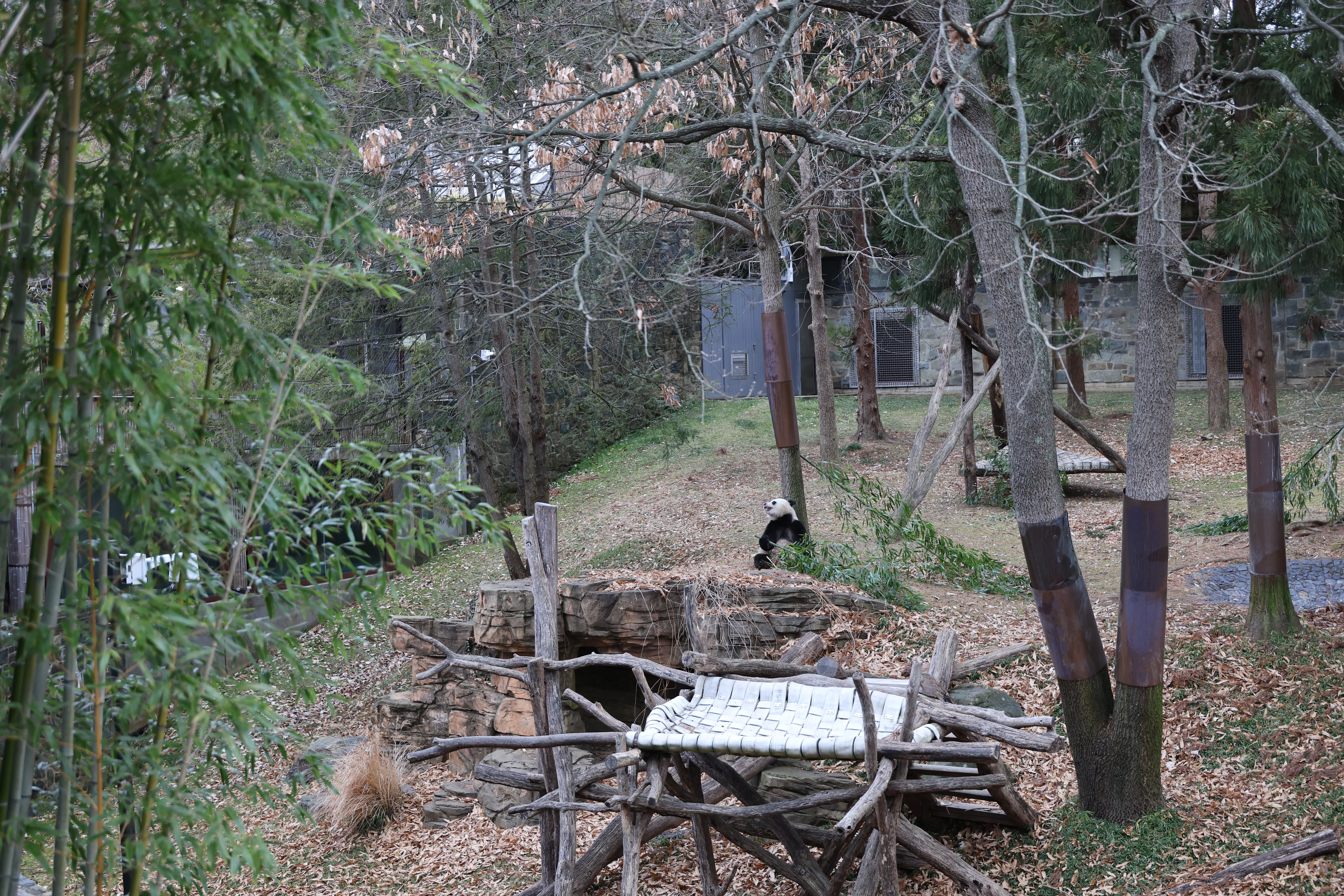 Smithsonian's National Zoo