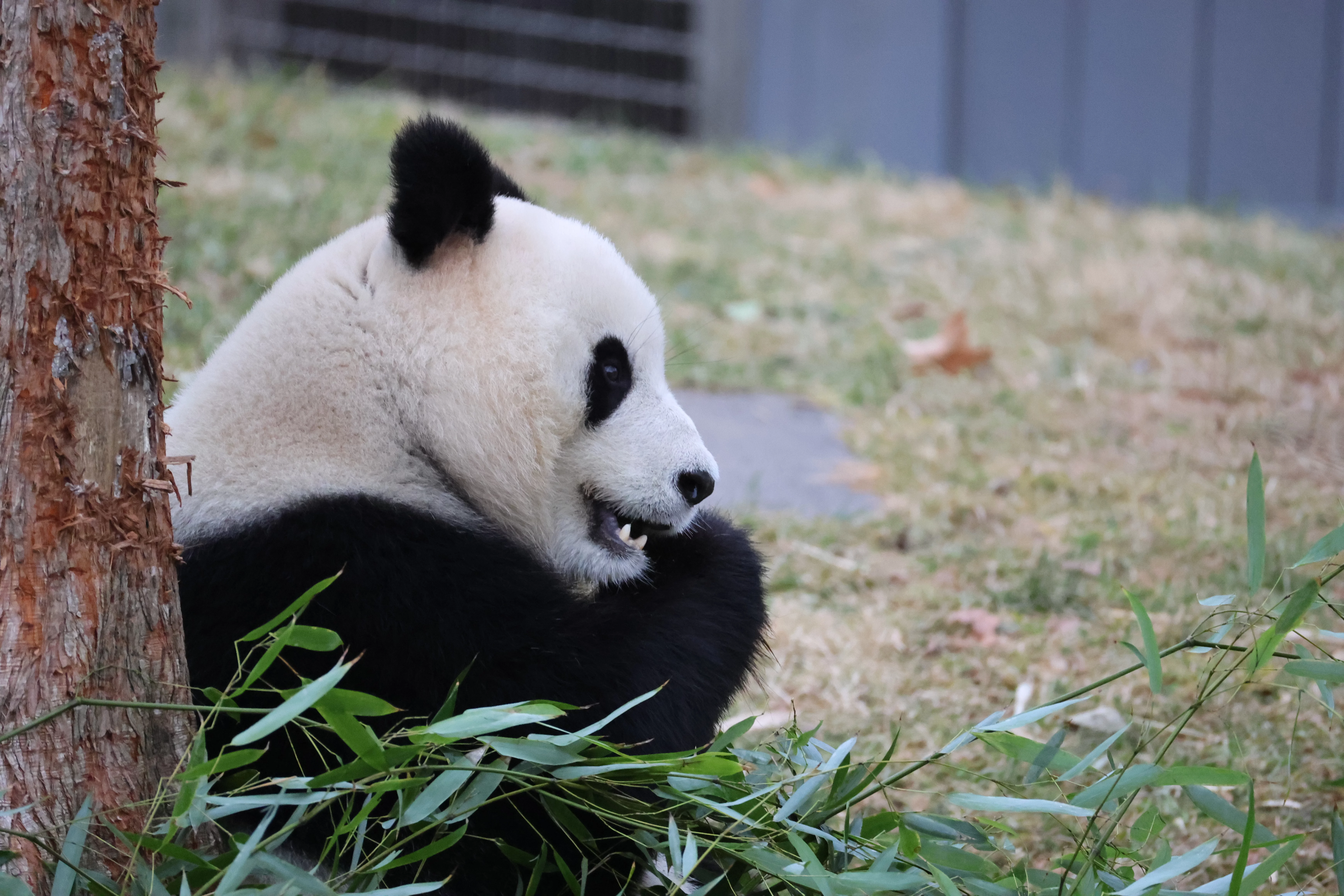 Smithsonian's National Zoo