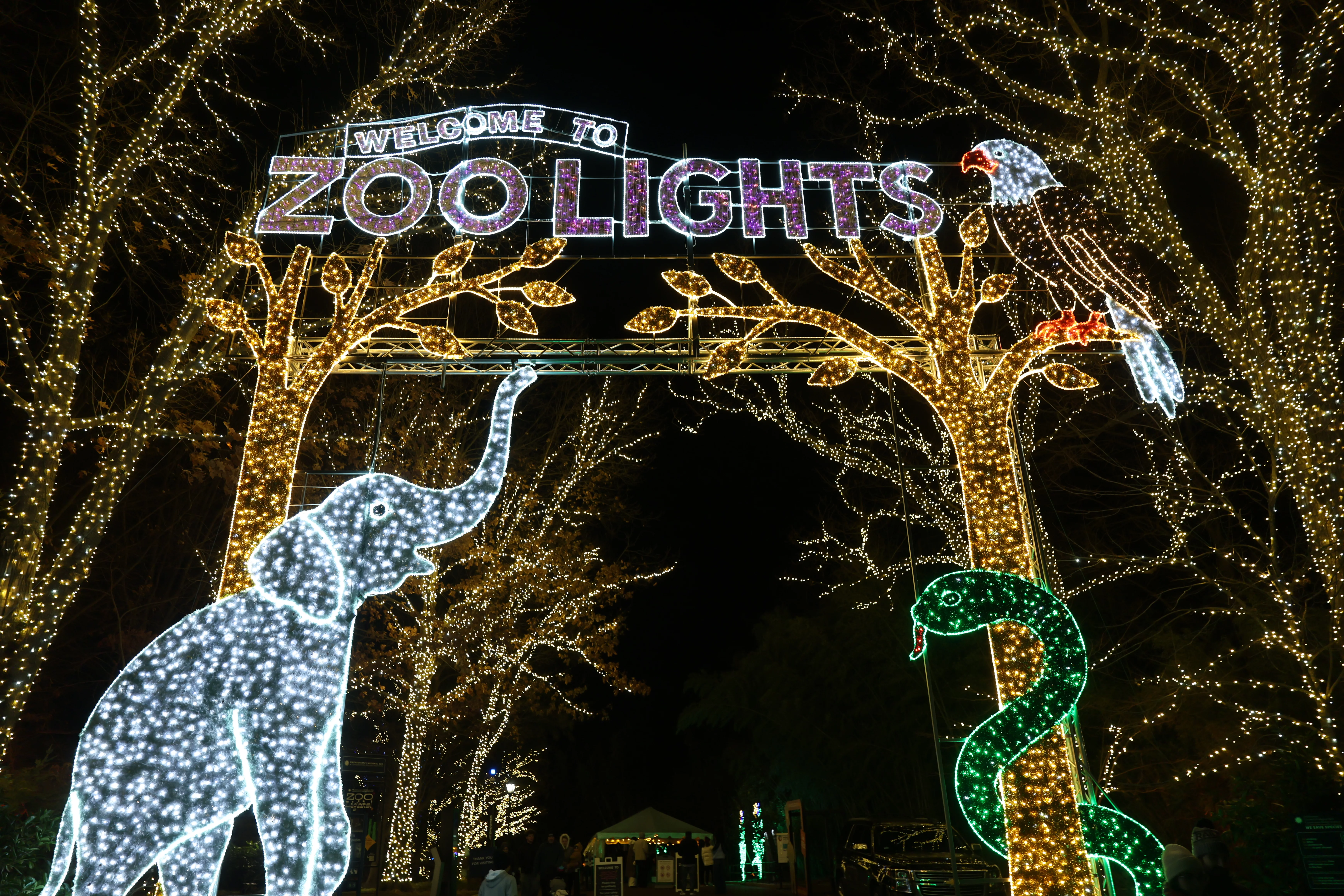 Zoo Lights