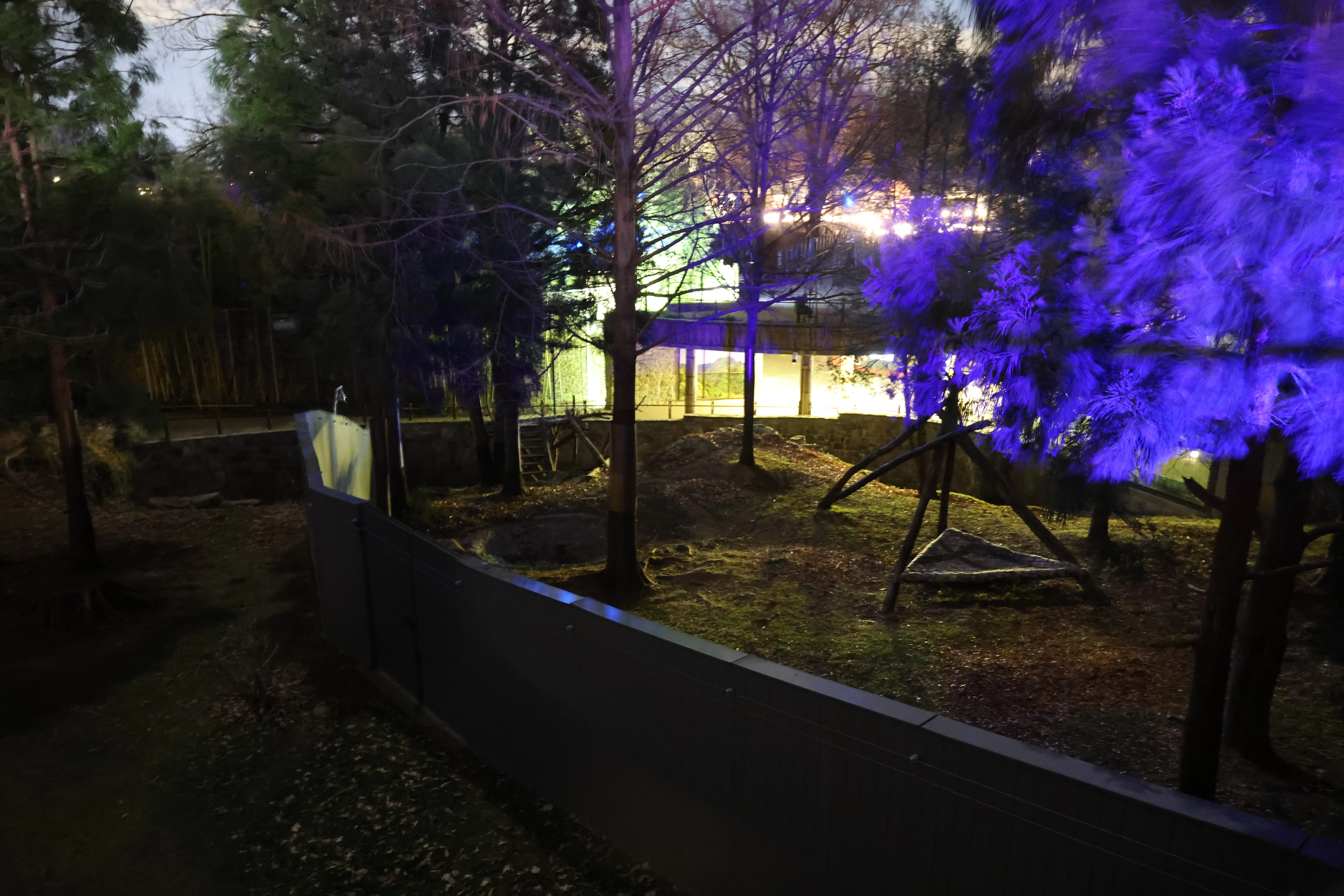 Zoo Lights