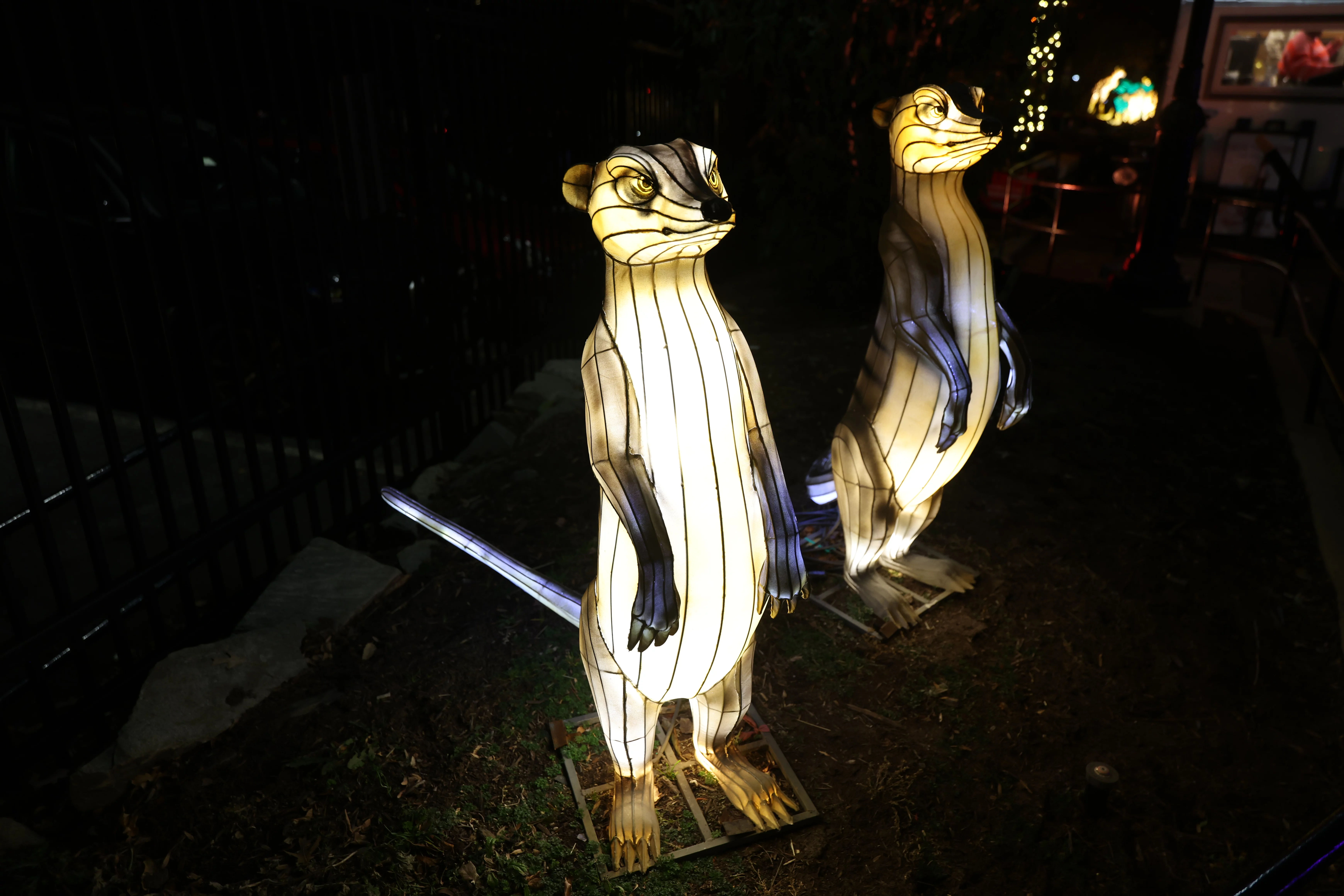 Zoo Lights