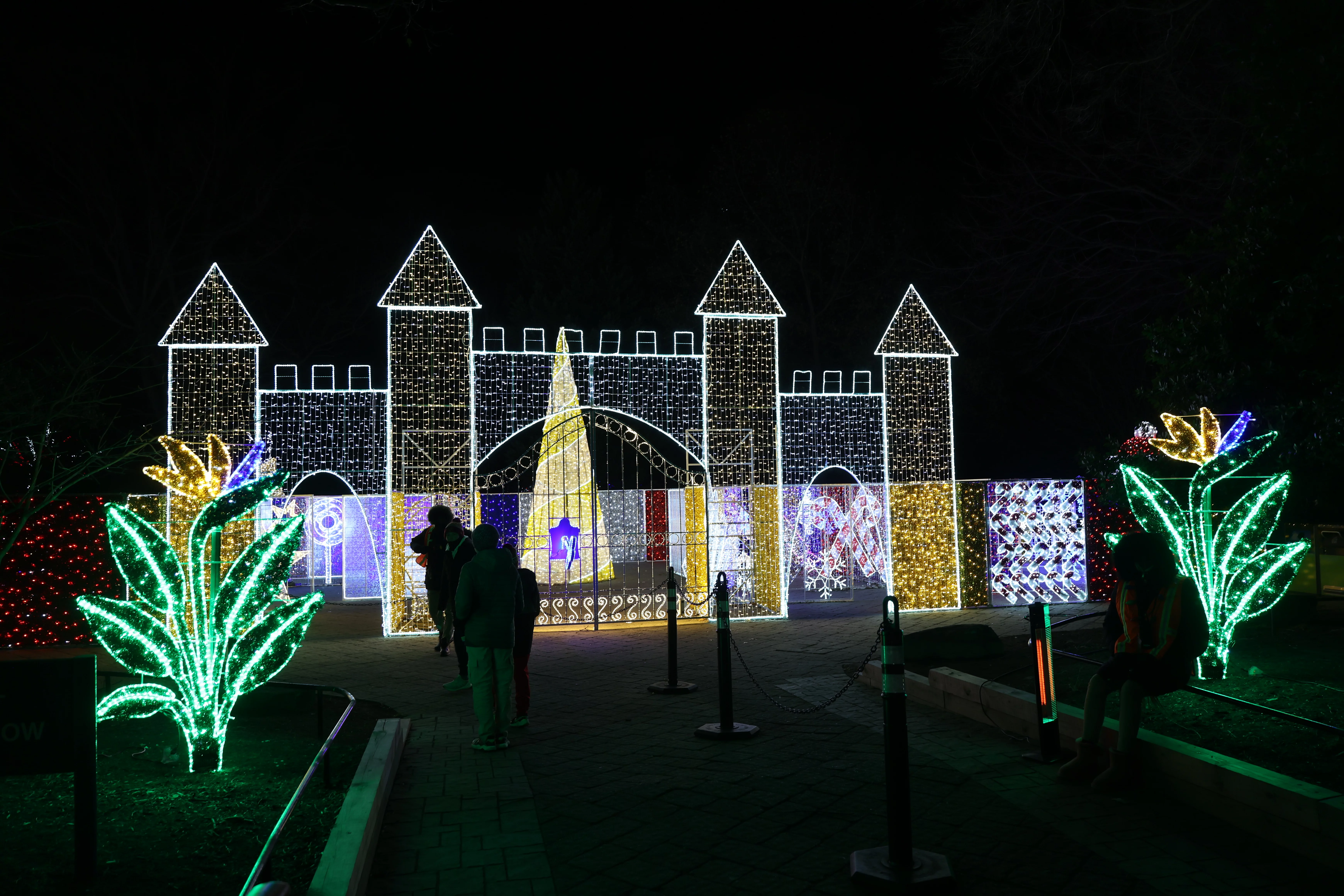 Zoo Lights