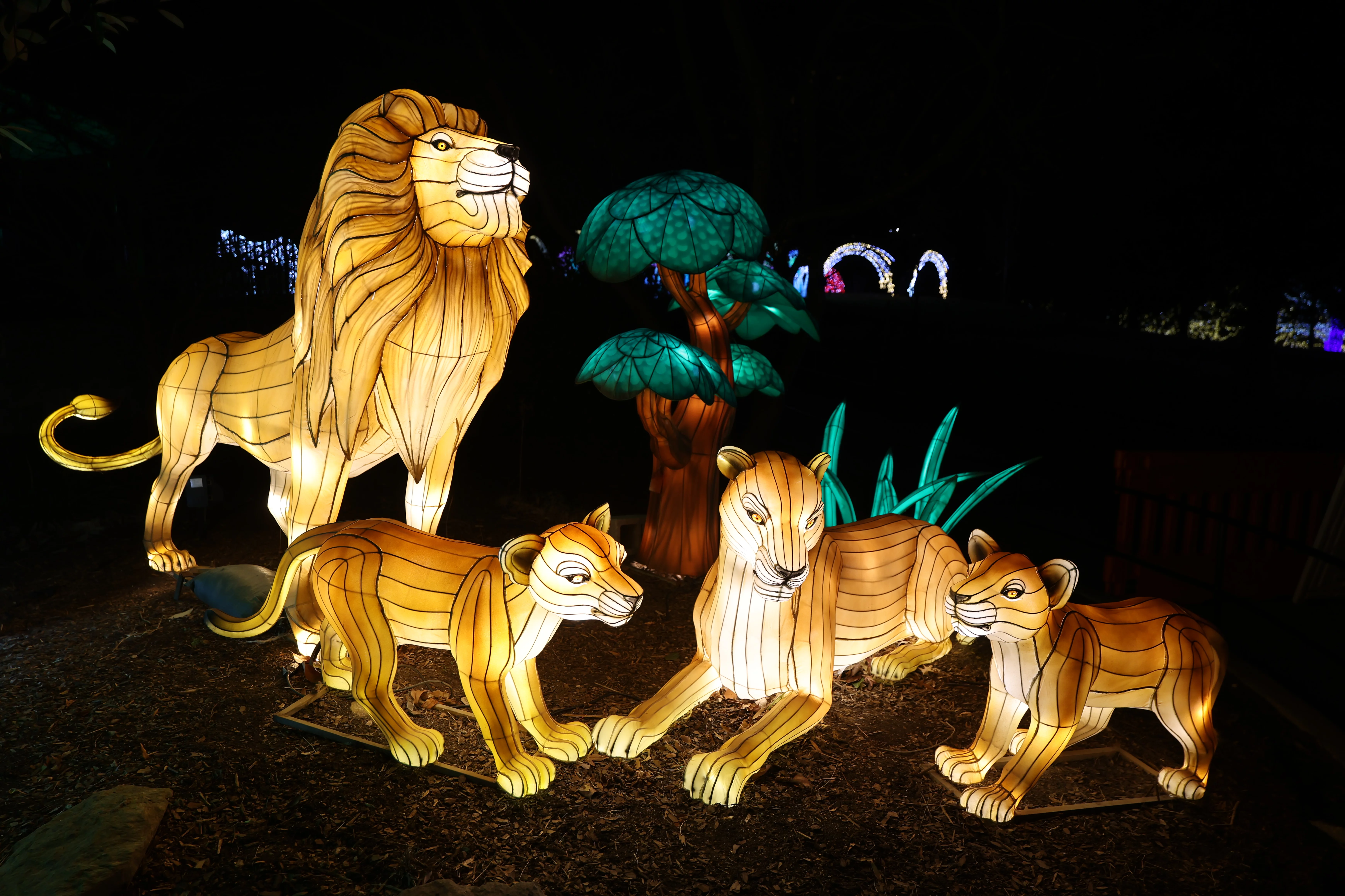 Zoo Lights