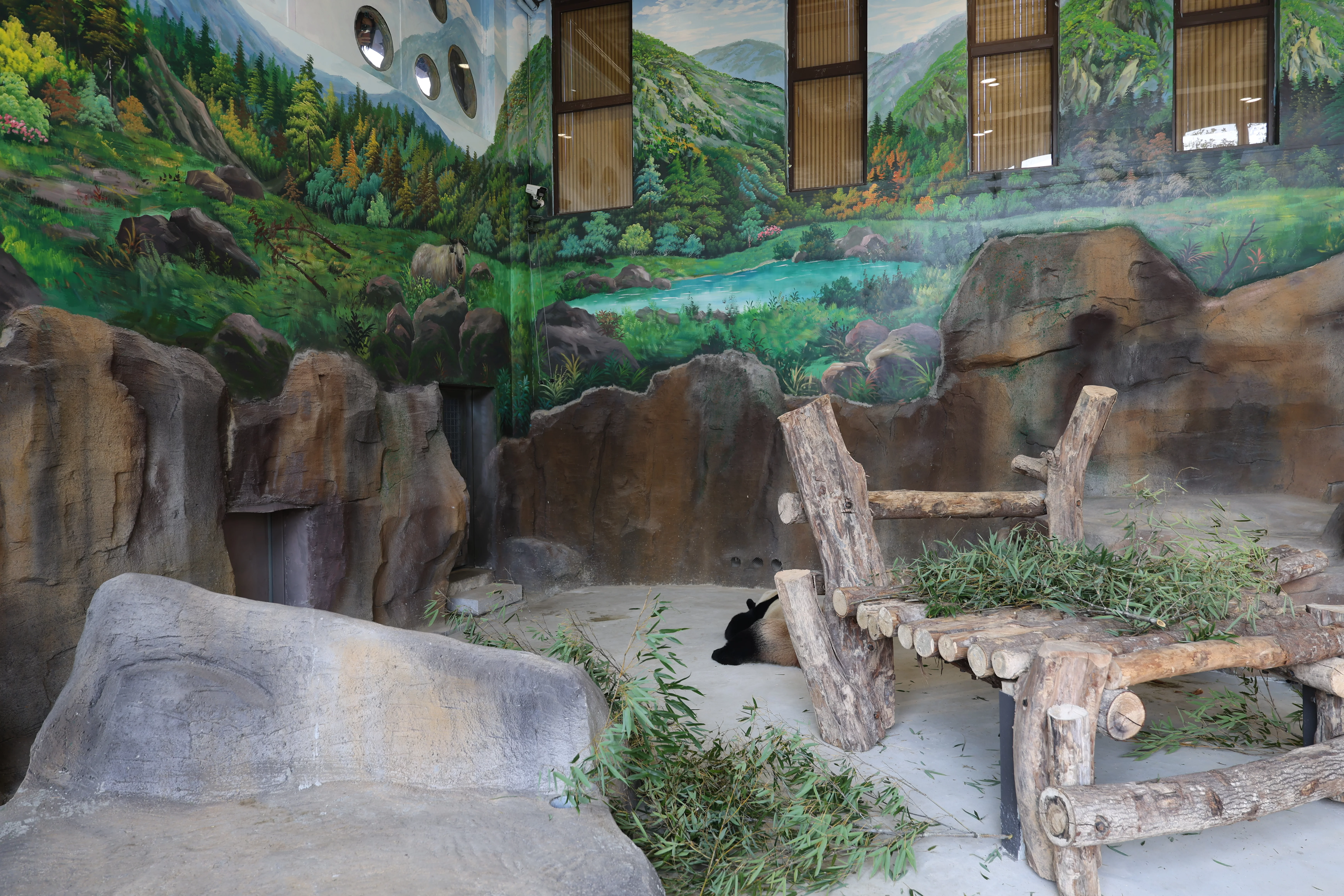 Fuzhou Panda World