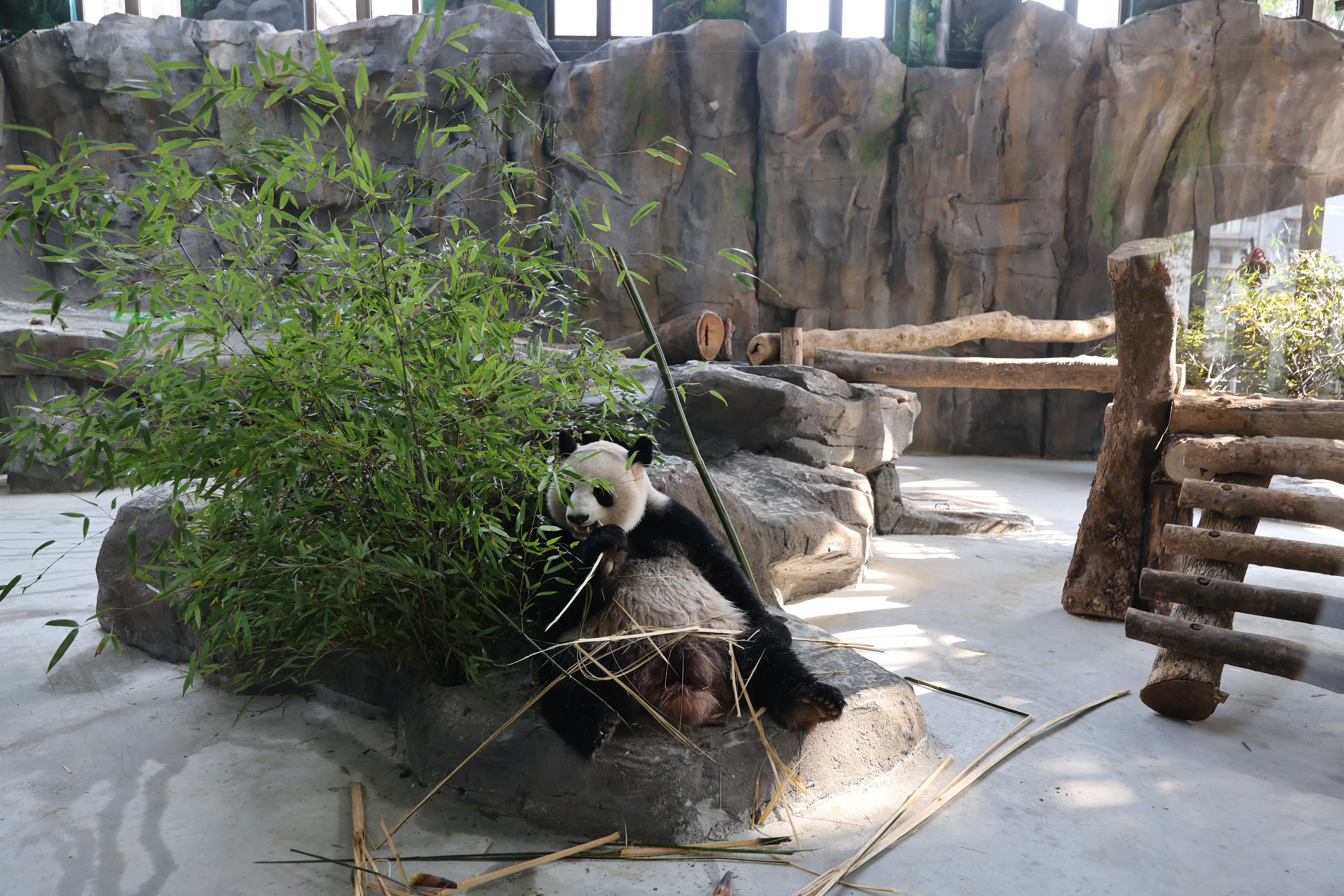 Fuzhou Panda World