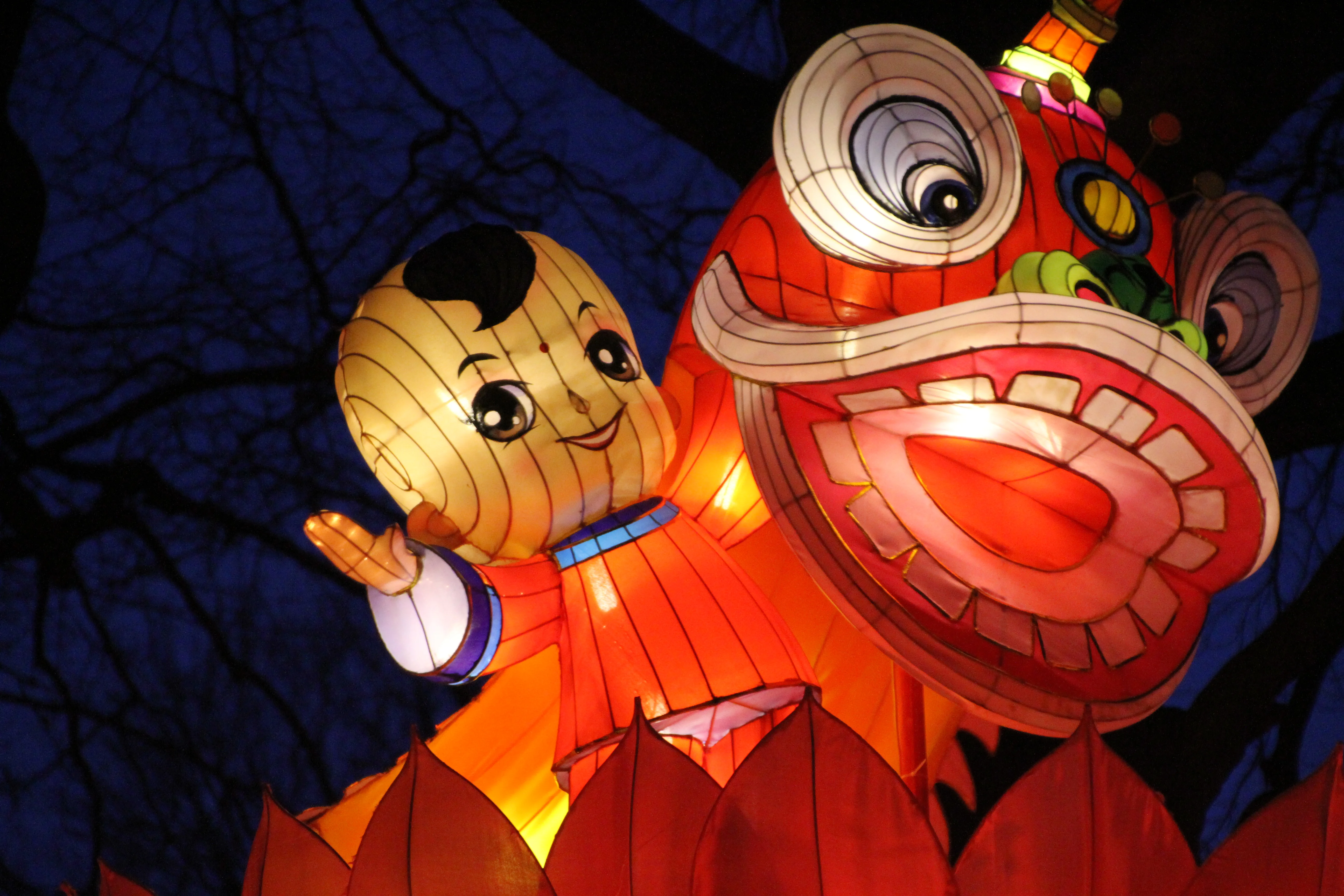 China Festival of Lights Rotterdam