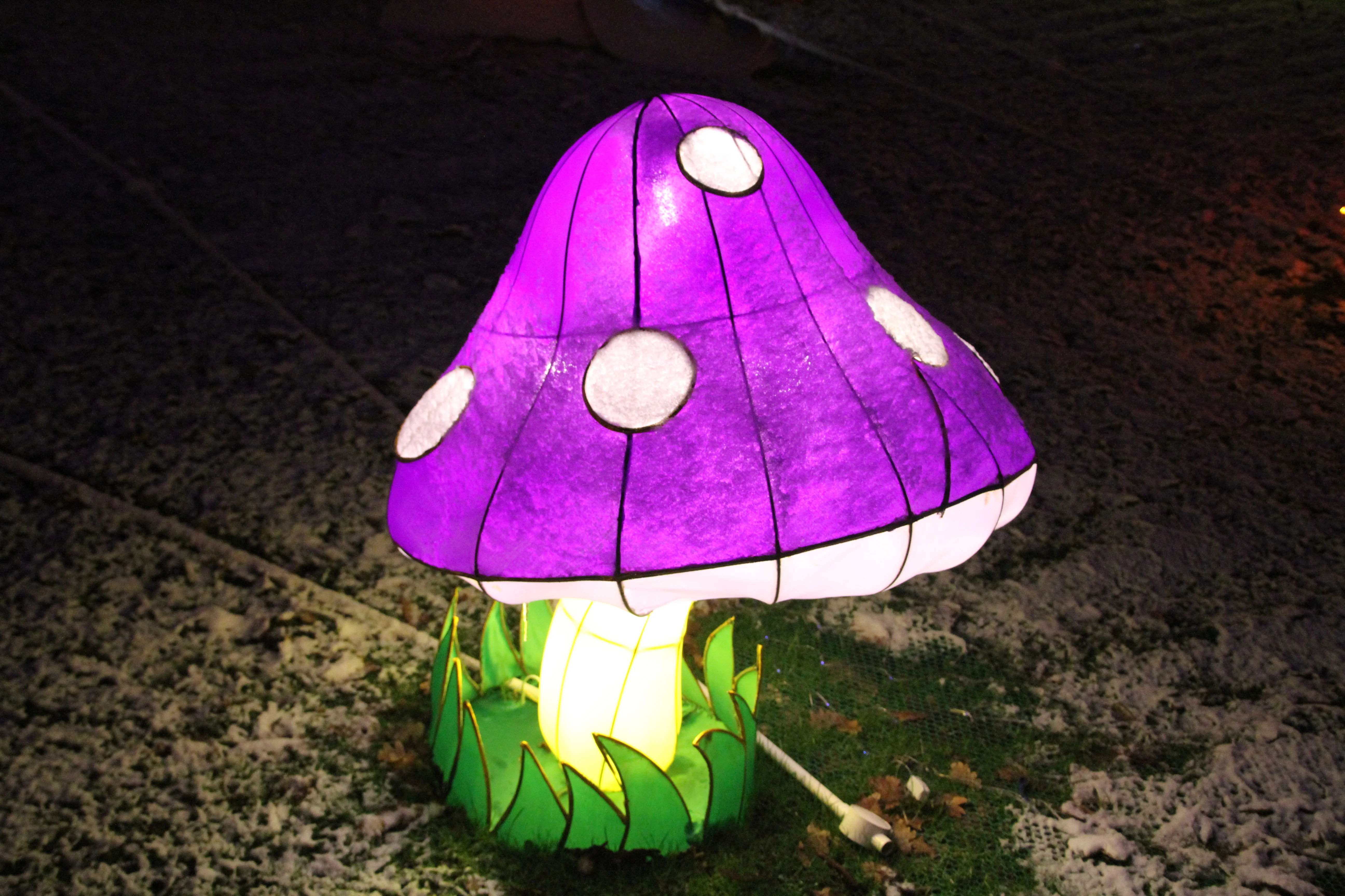 China Festival of Lights Rotterdam