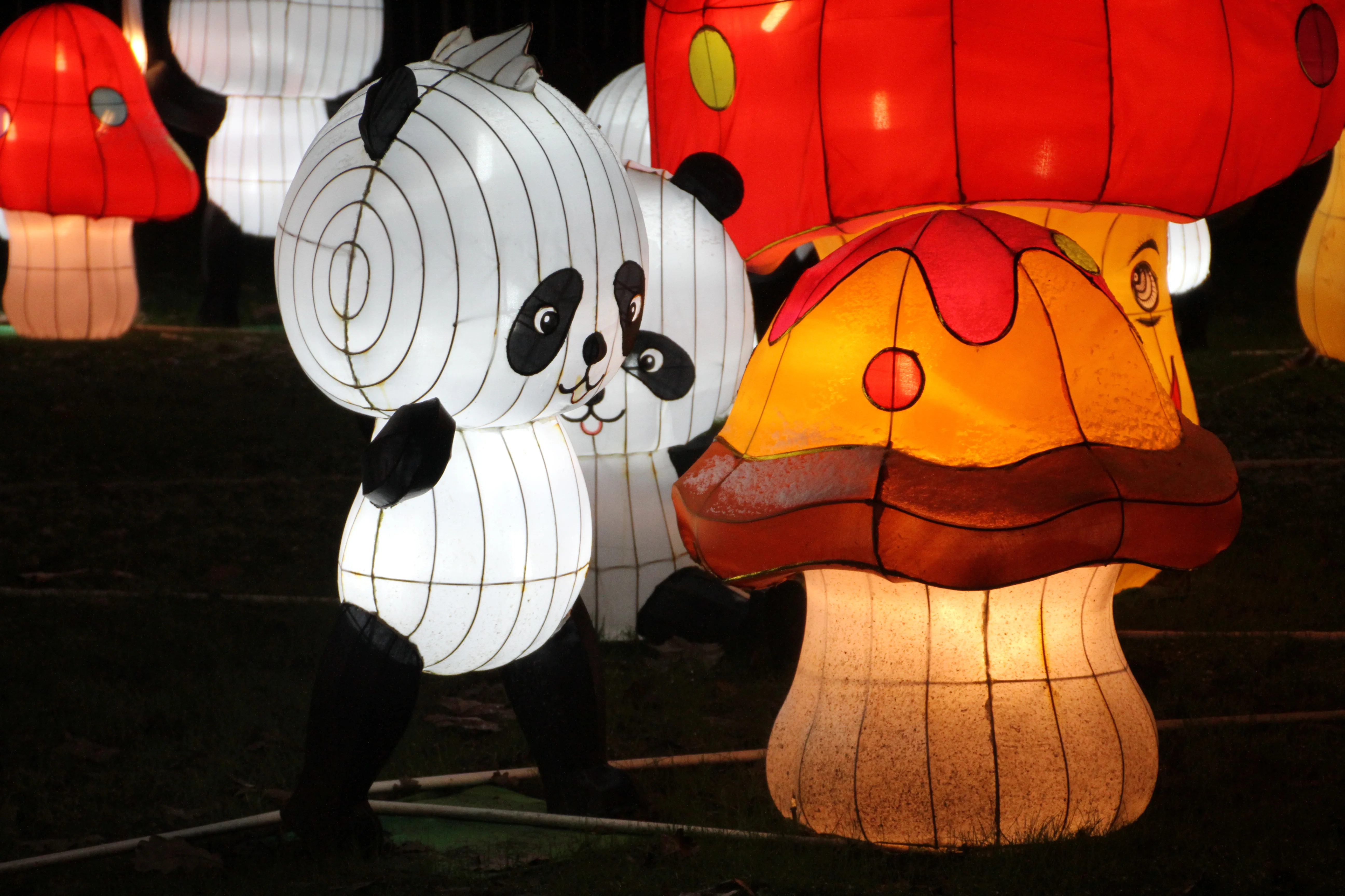 China Festival of Lights Rotterdam