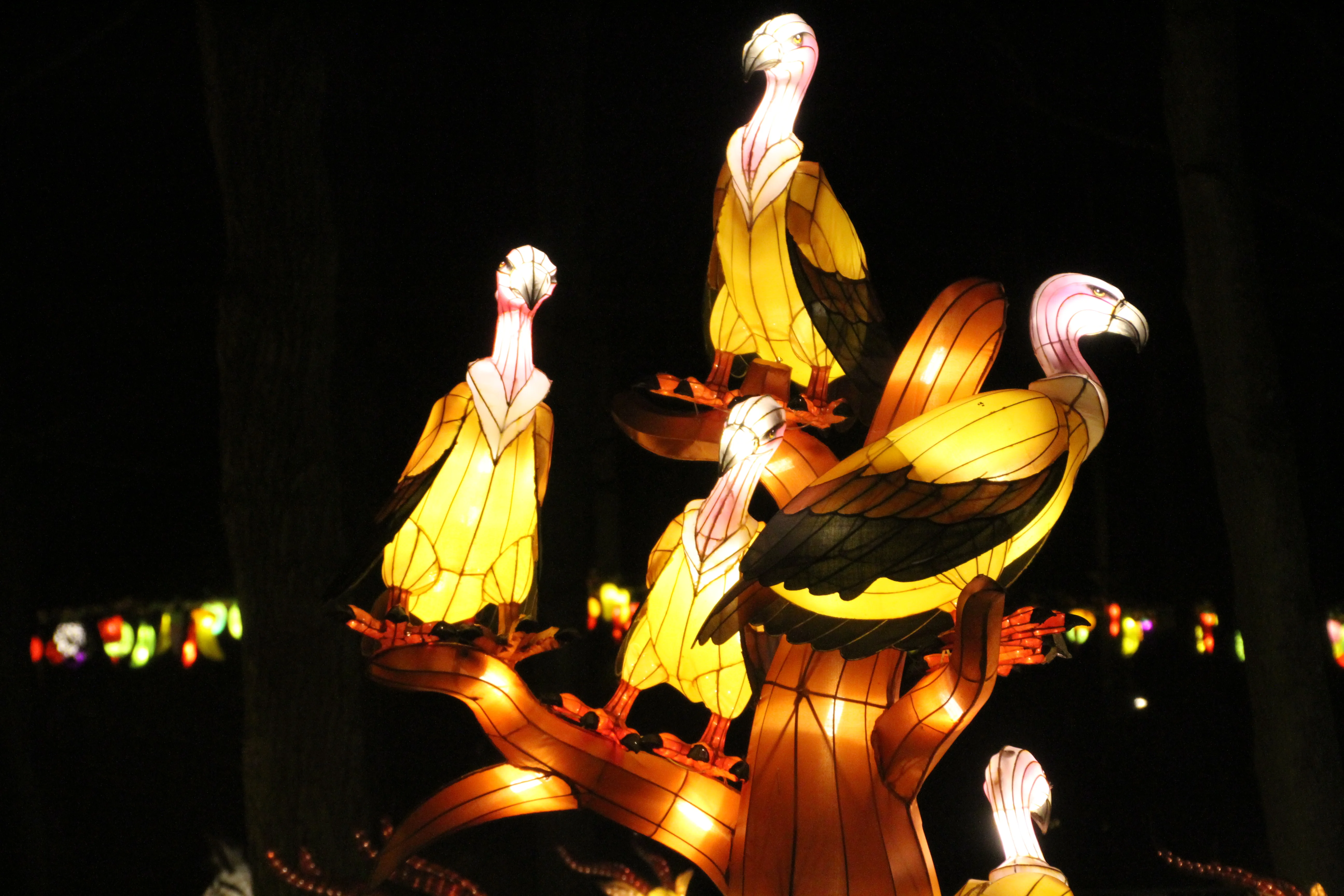 China Festival of Lights Rotterdam