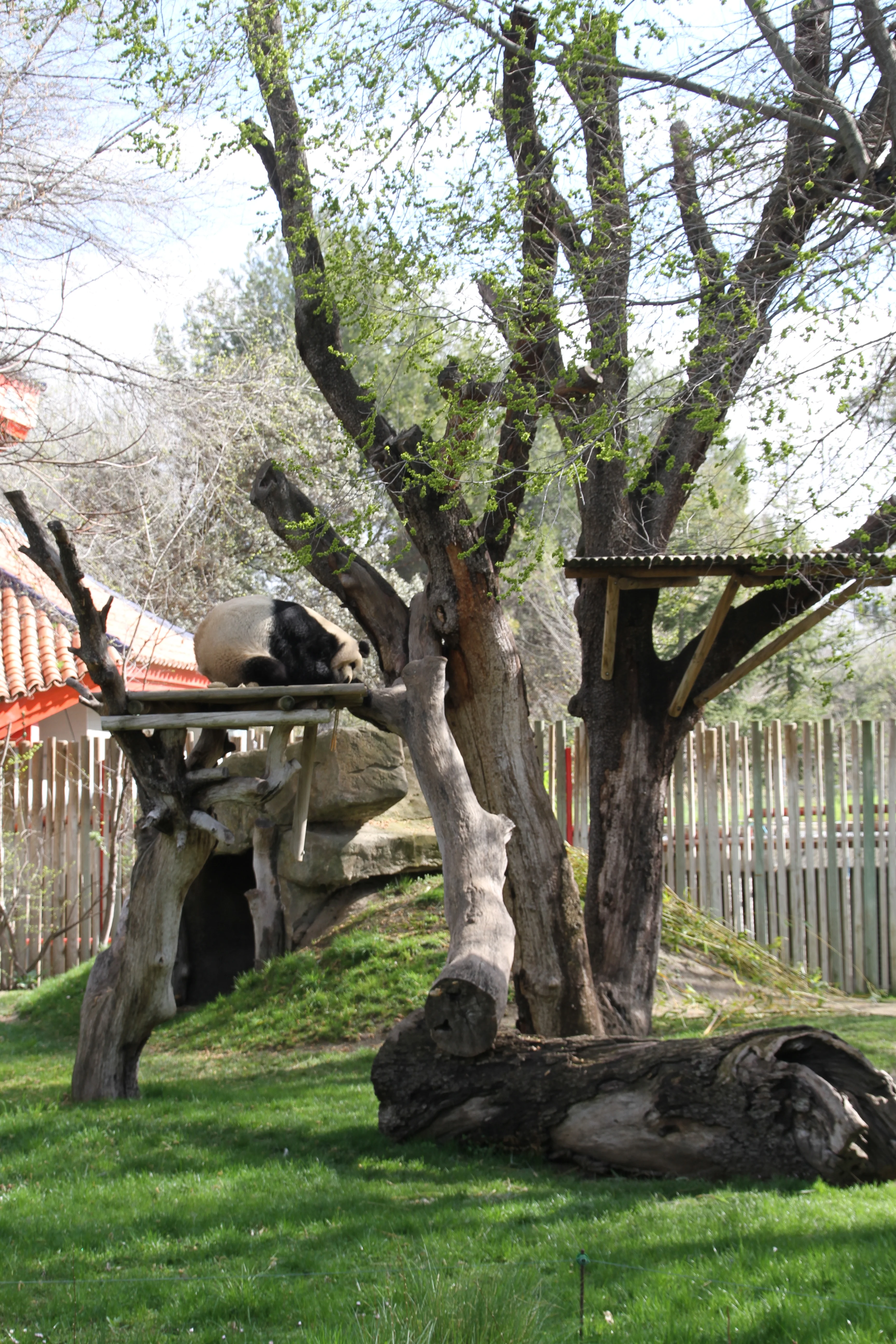 Zoo Madrid
