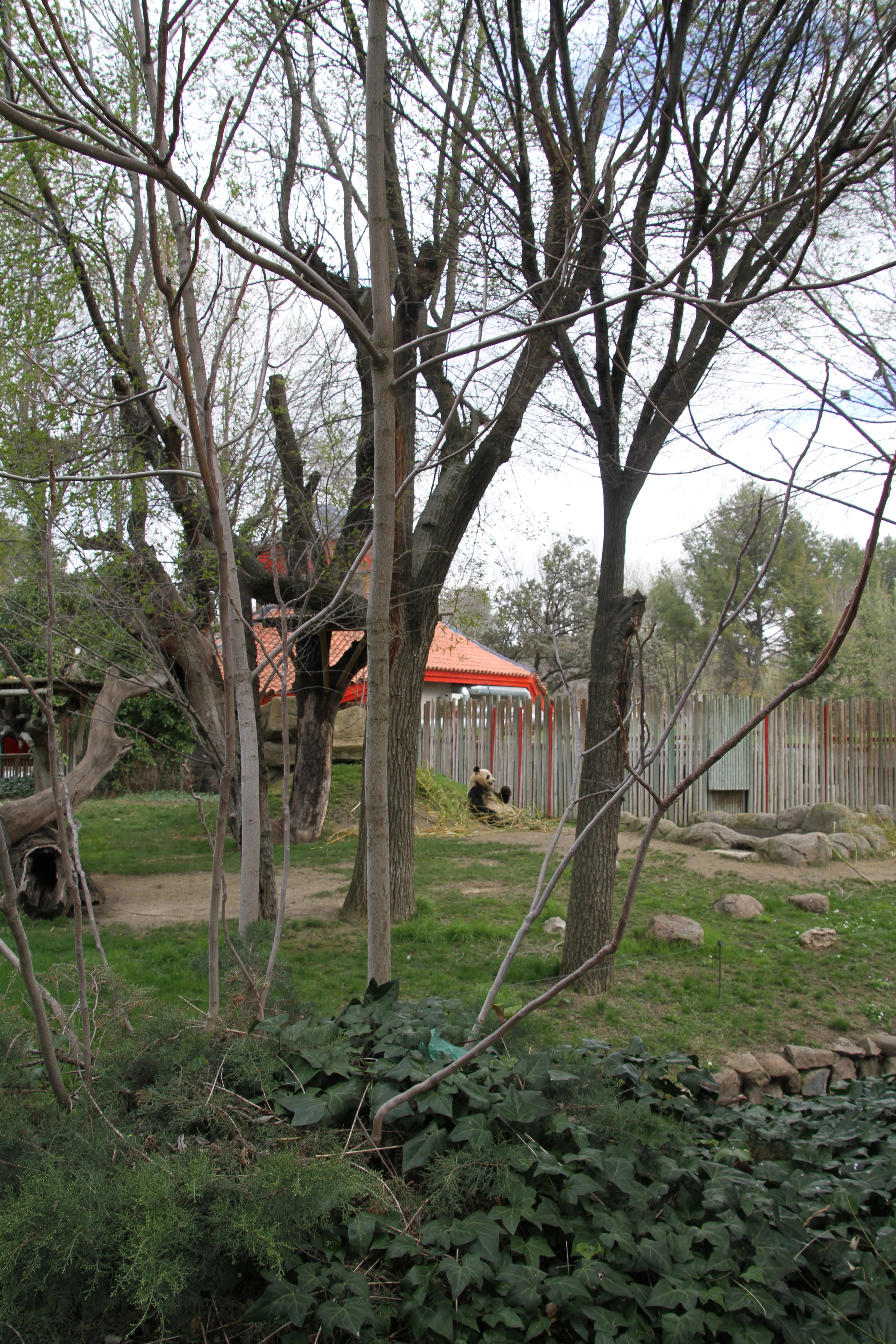 Zoo Madrid