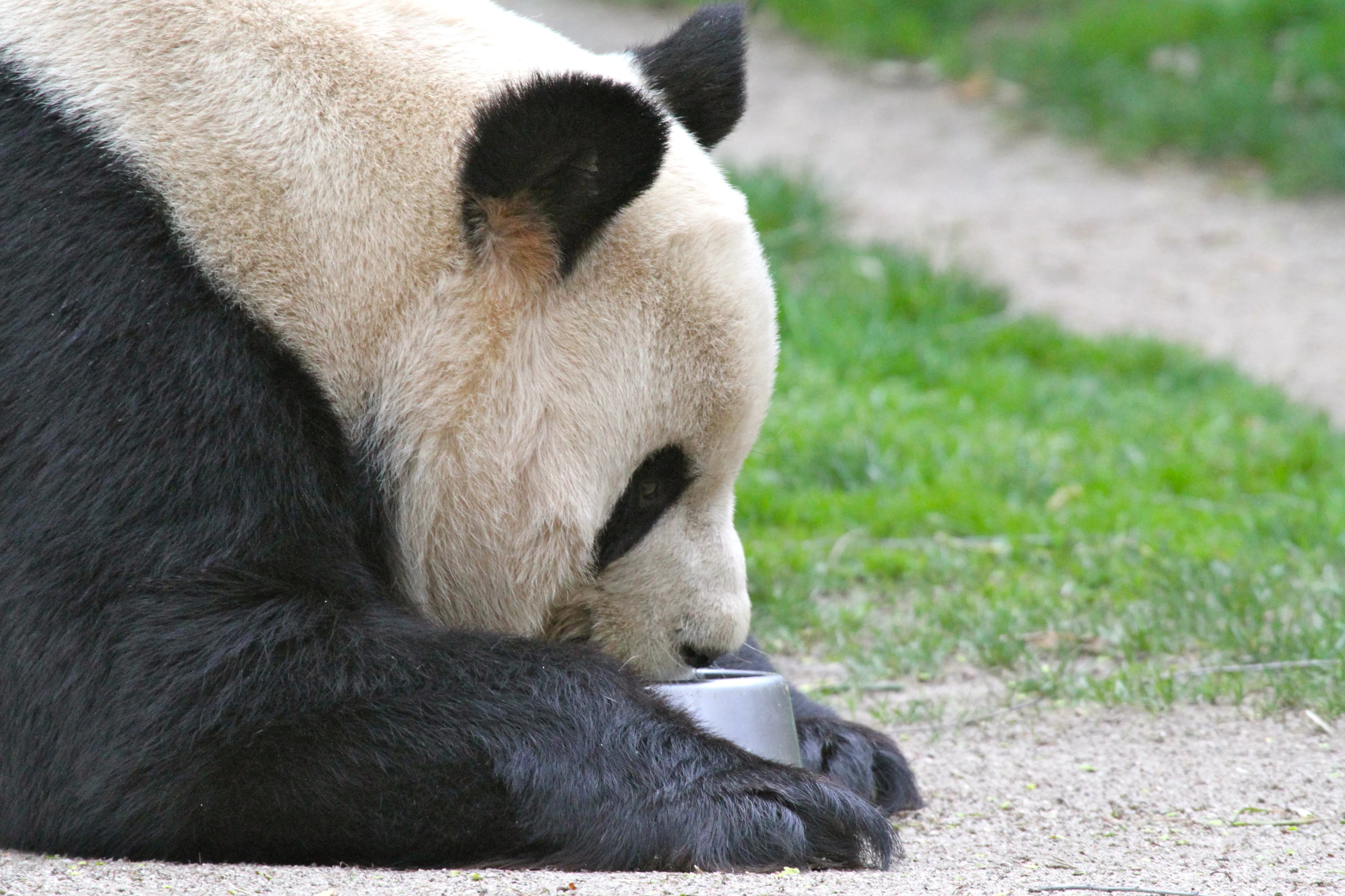 Zoo Madrid