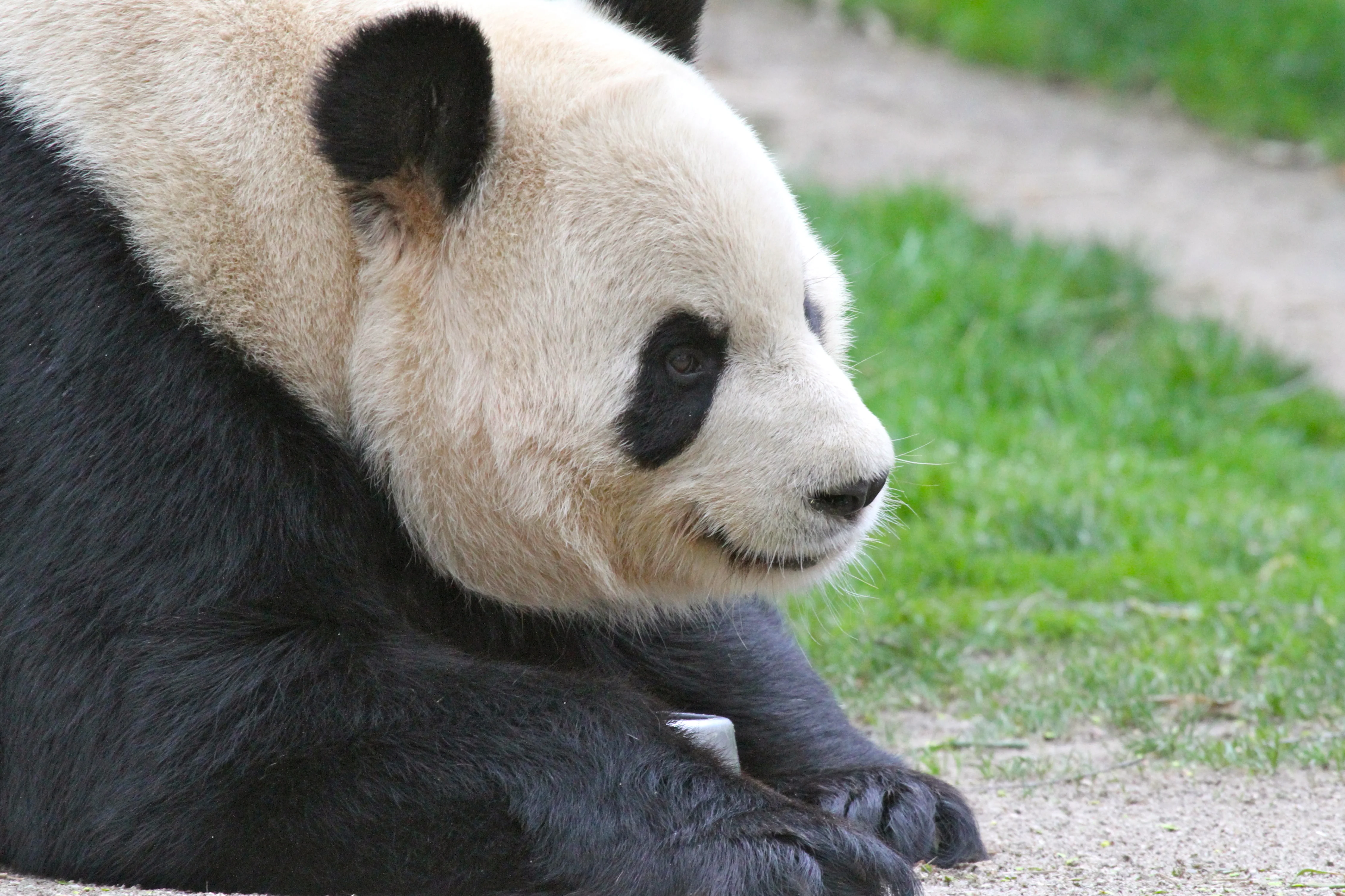 Zoo Madrid