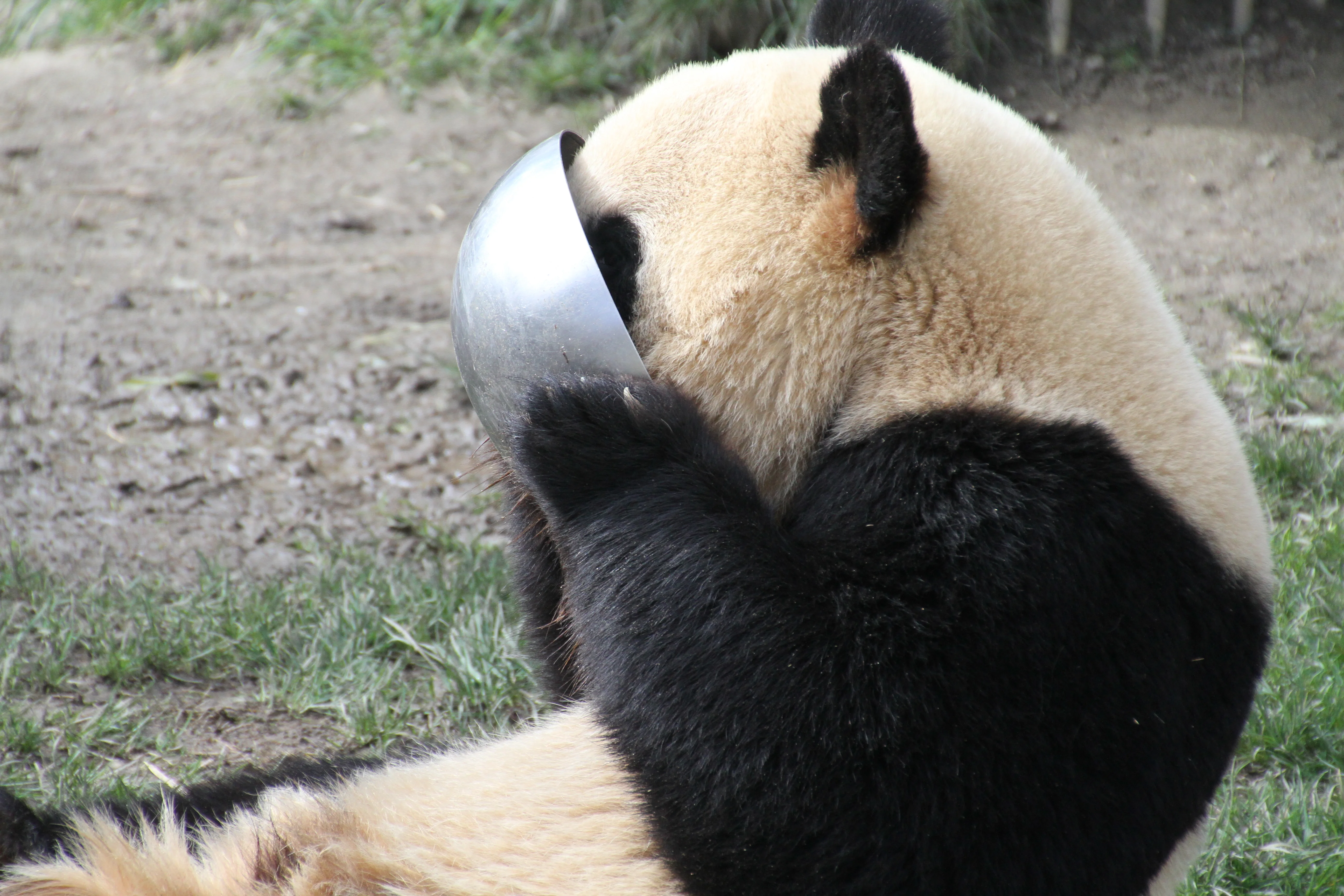 Zoo Madrid