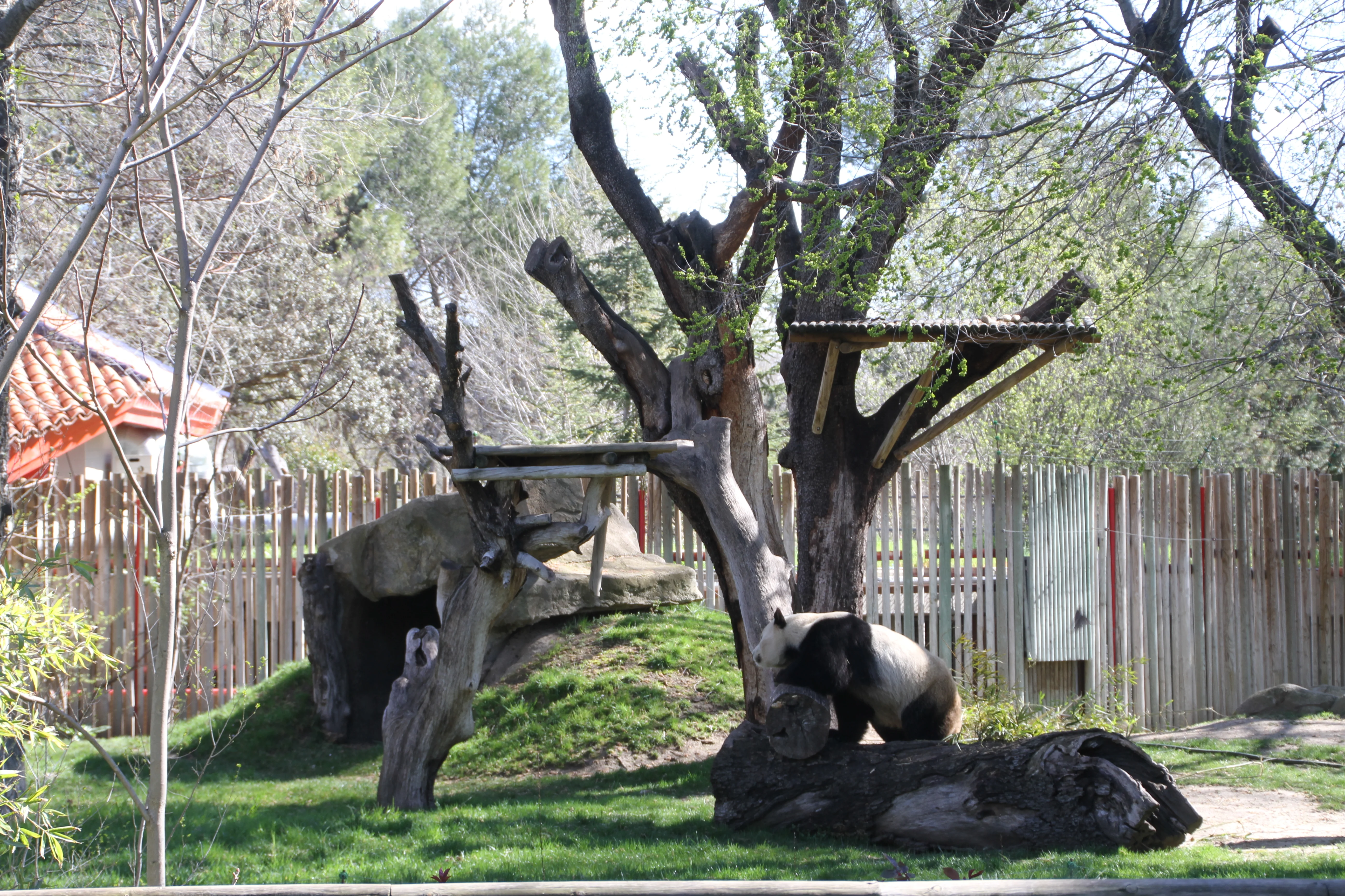 Zoo Madrid