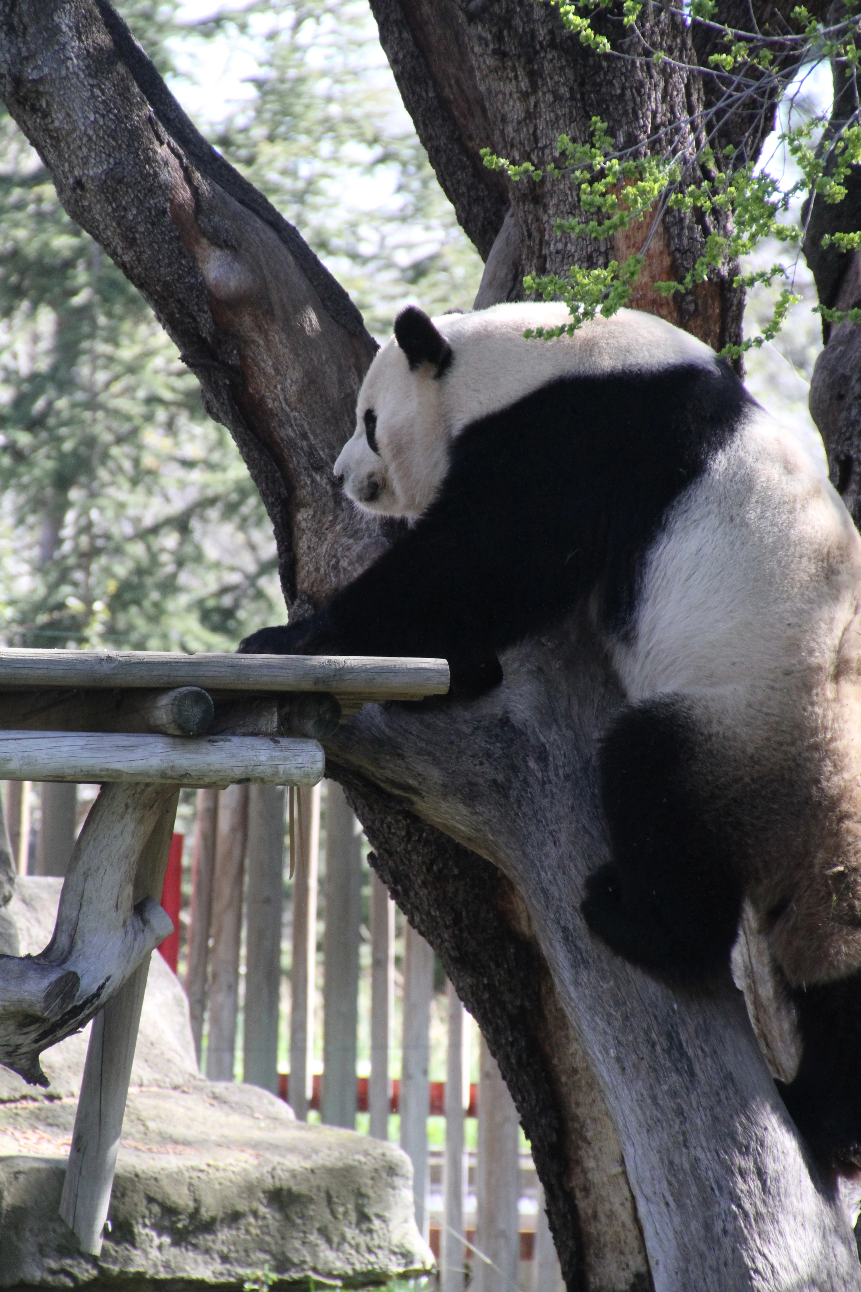 Zoo Madrid
