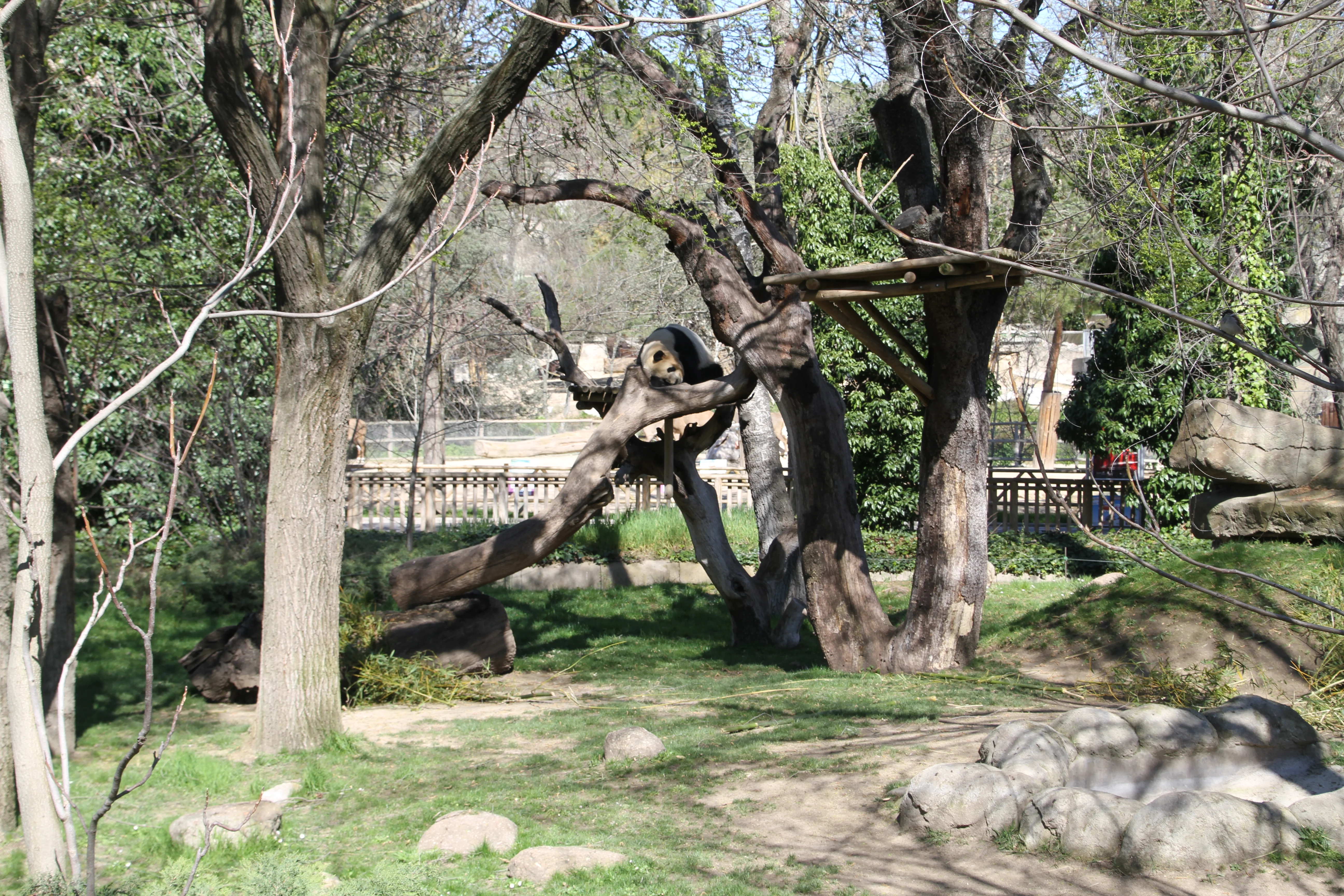 Zoo Madrid