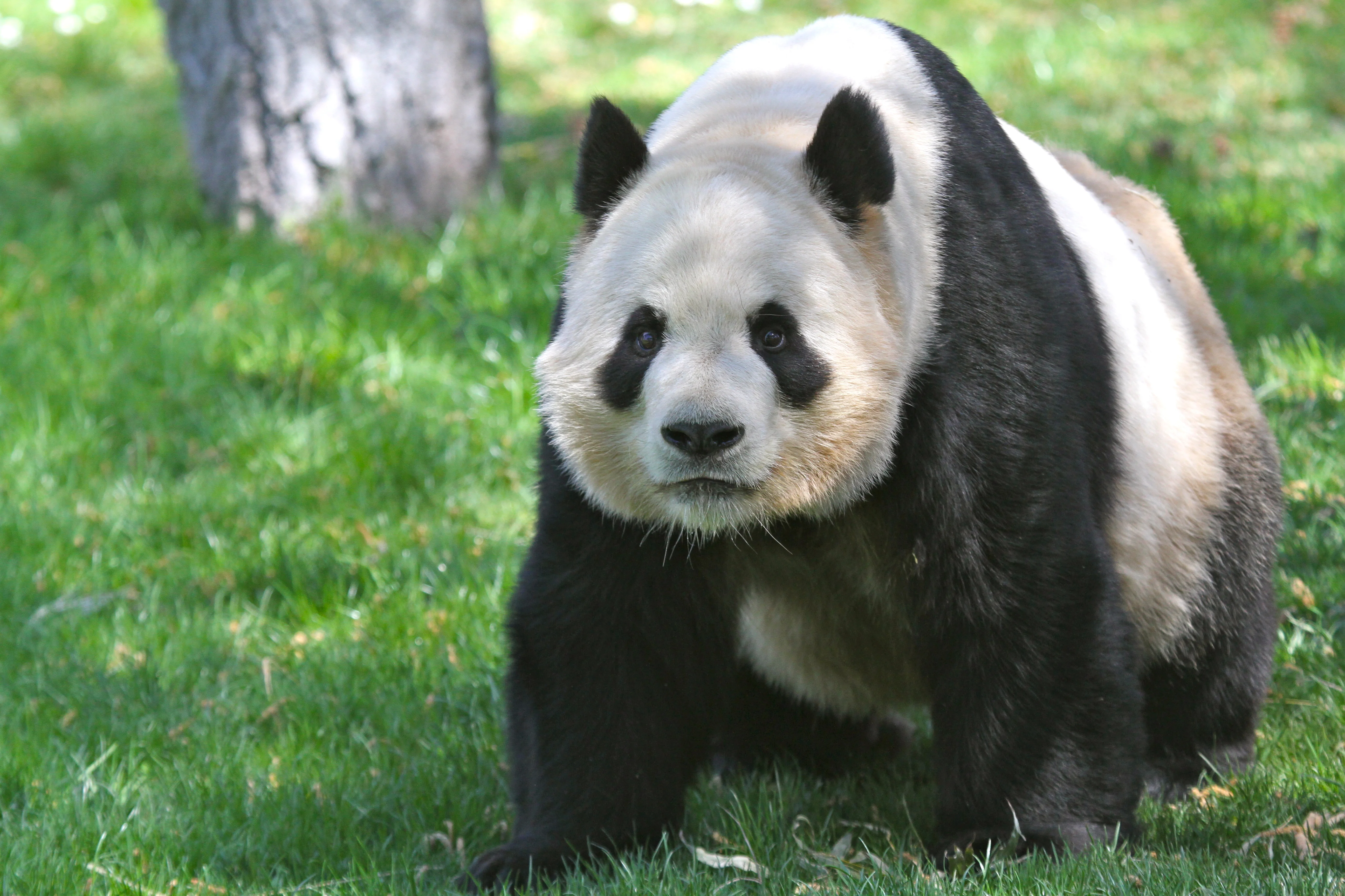 Zoo Madrid