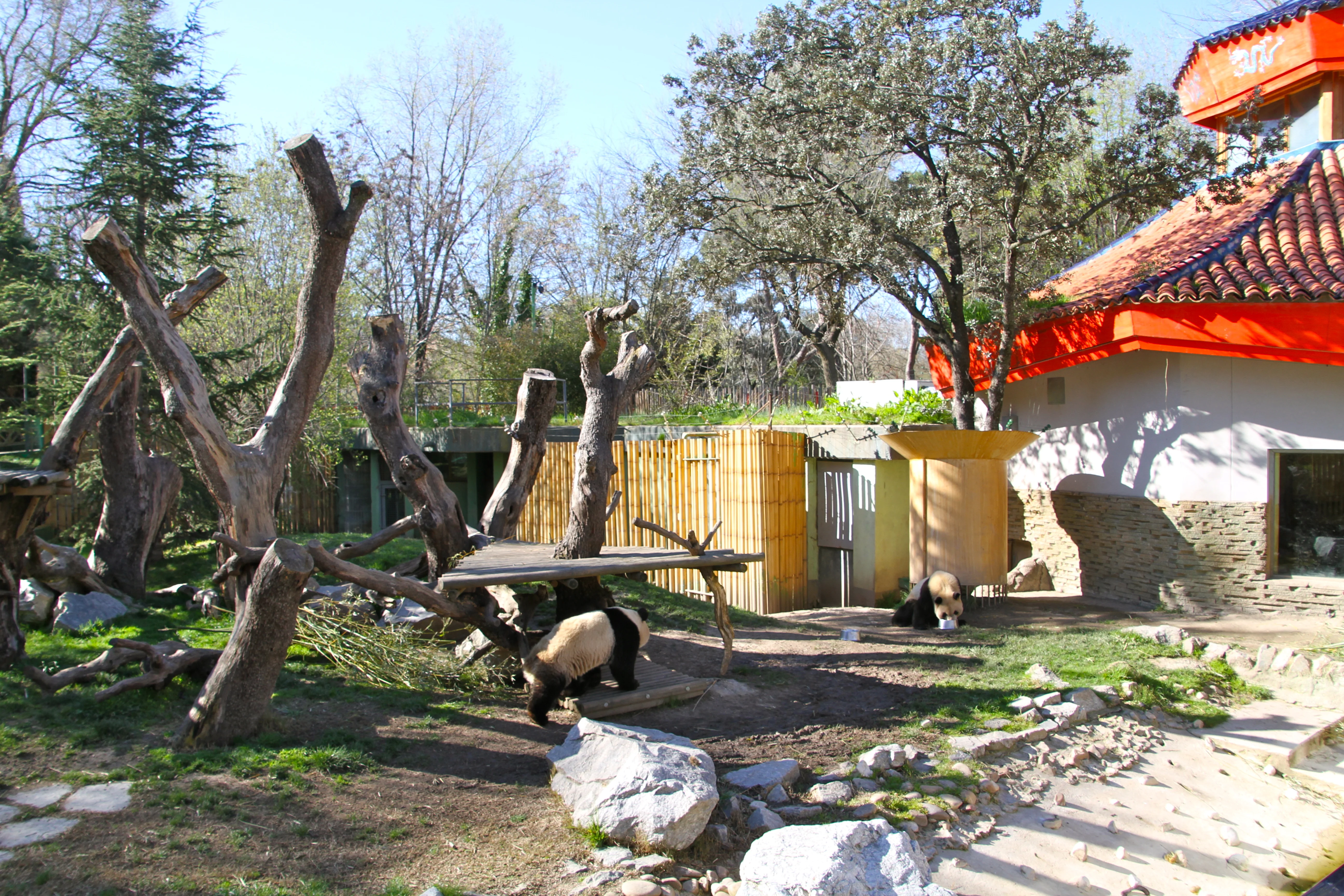 Zoo Madrid