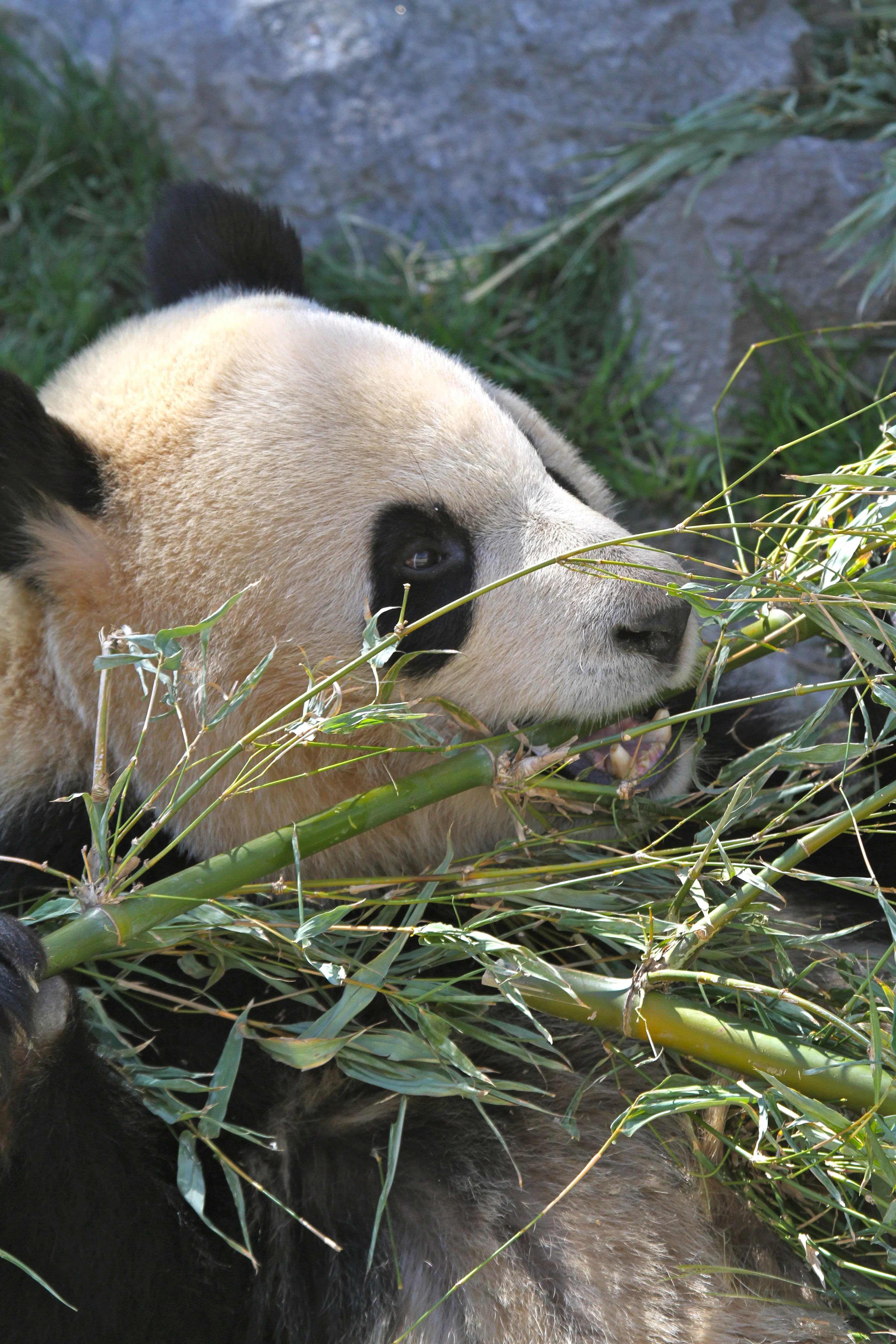 Zoo Madrid