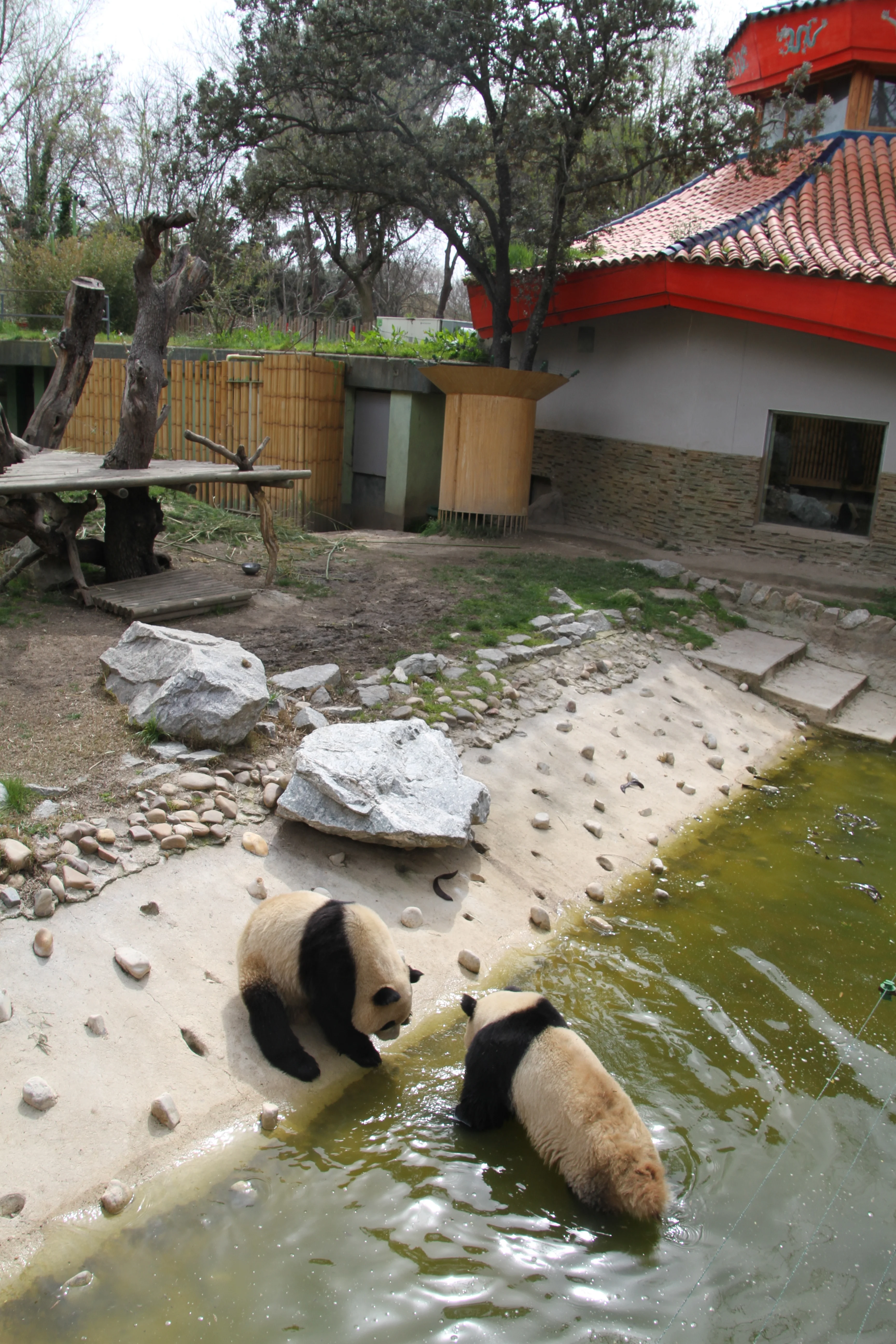 Zoo Madrid