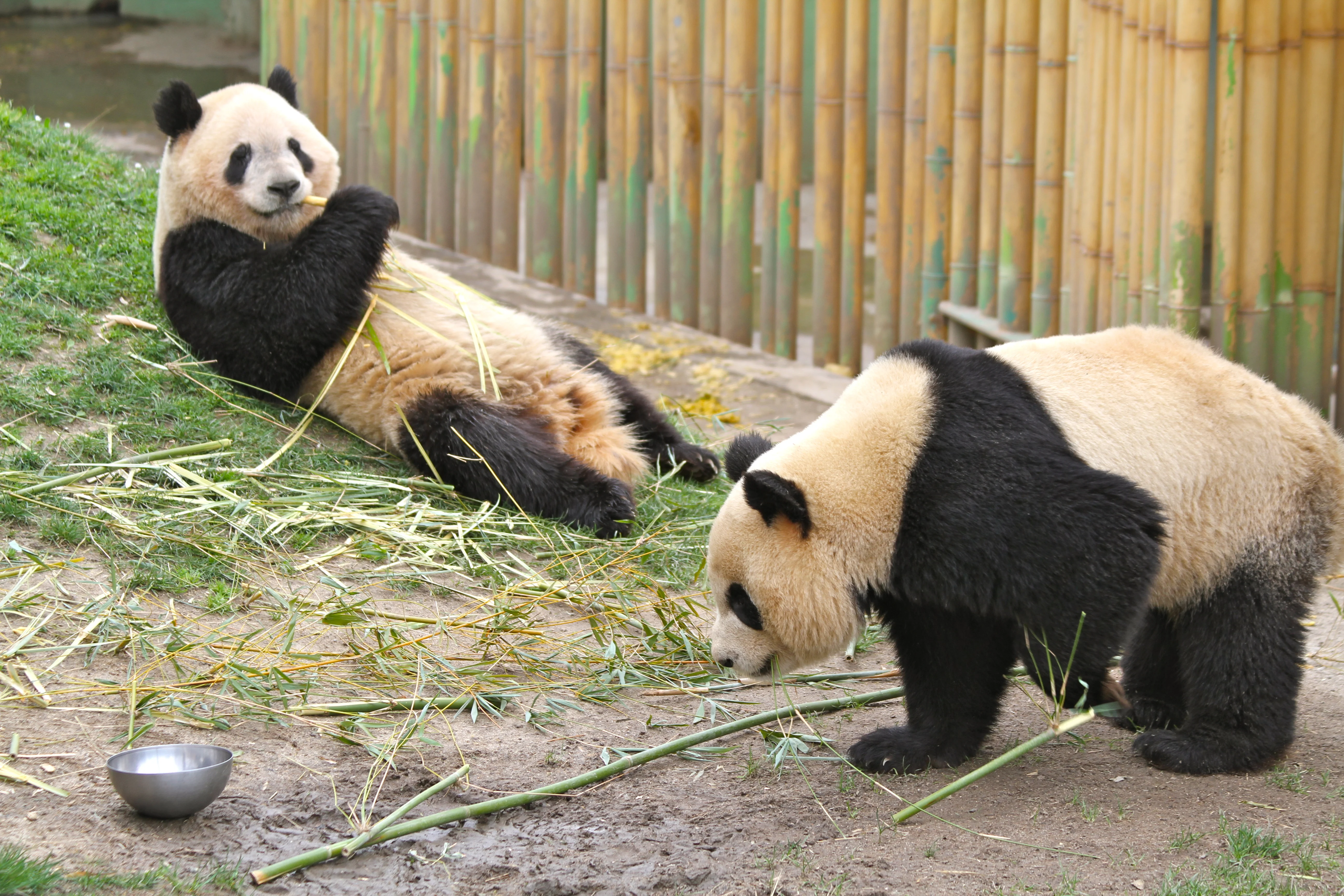 Zoo Madrid