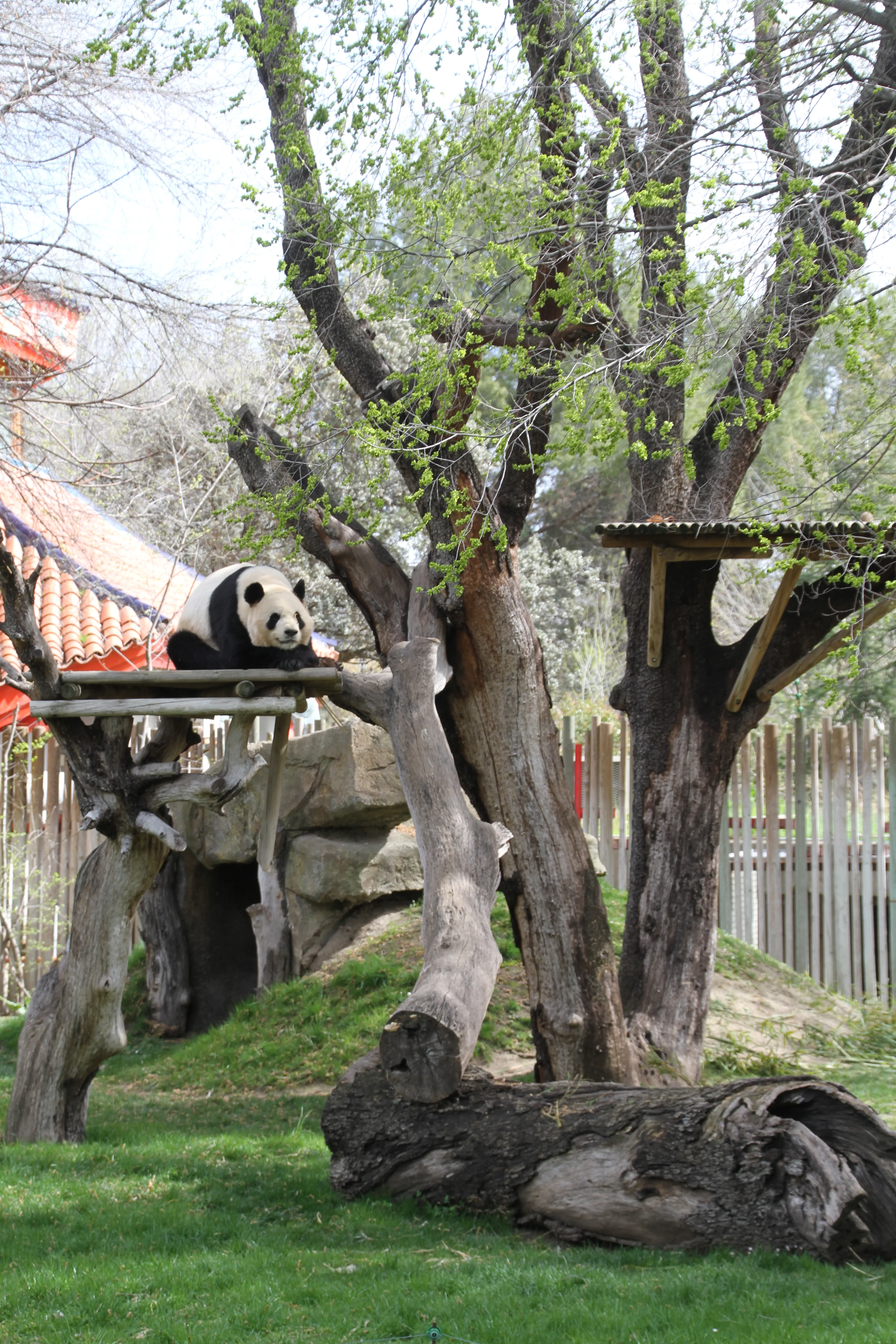 Zoo Madrid