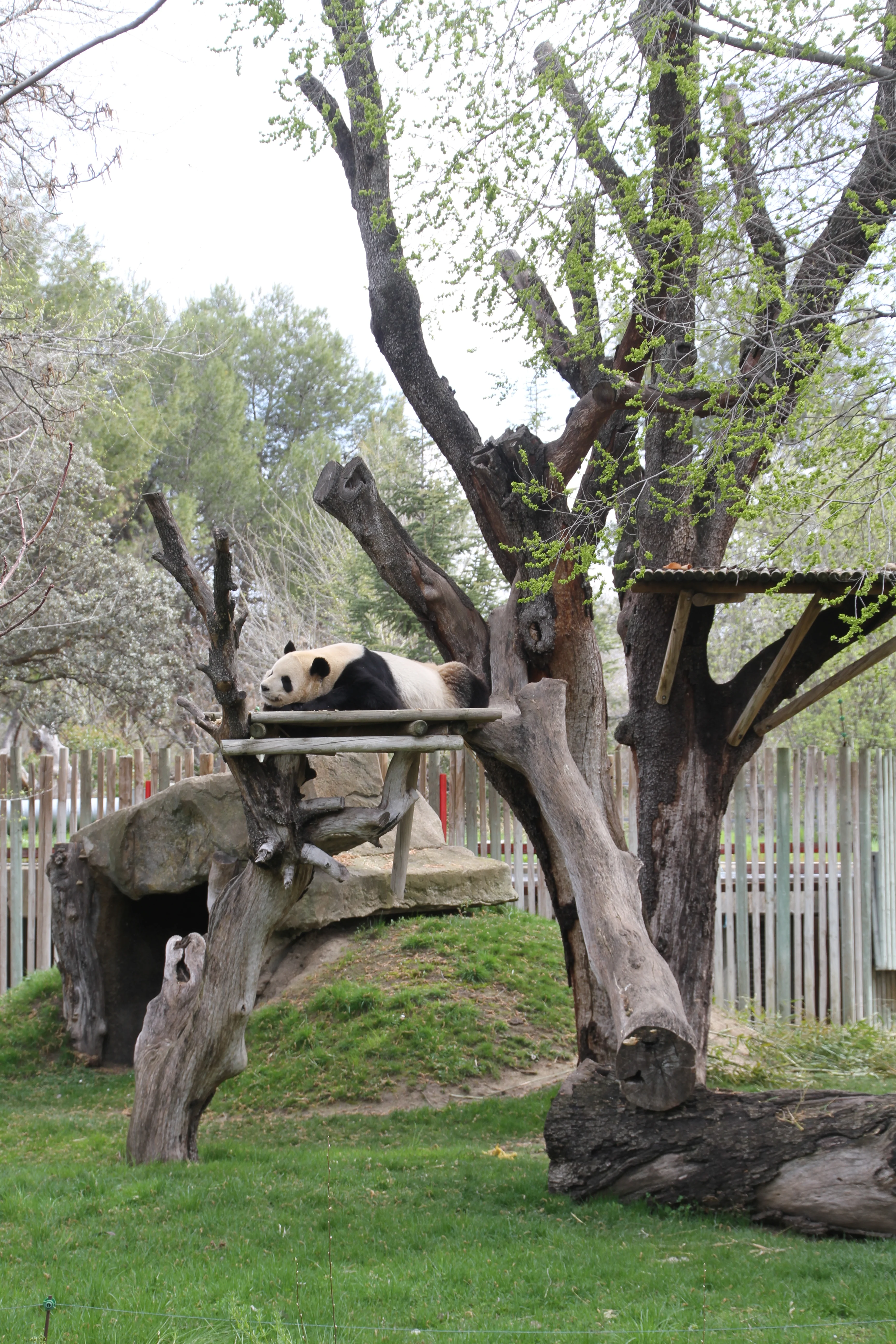 Zoo Madrid