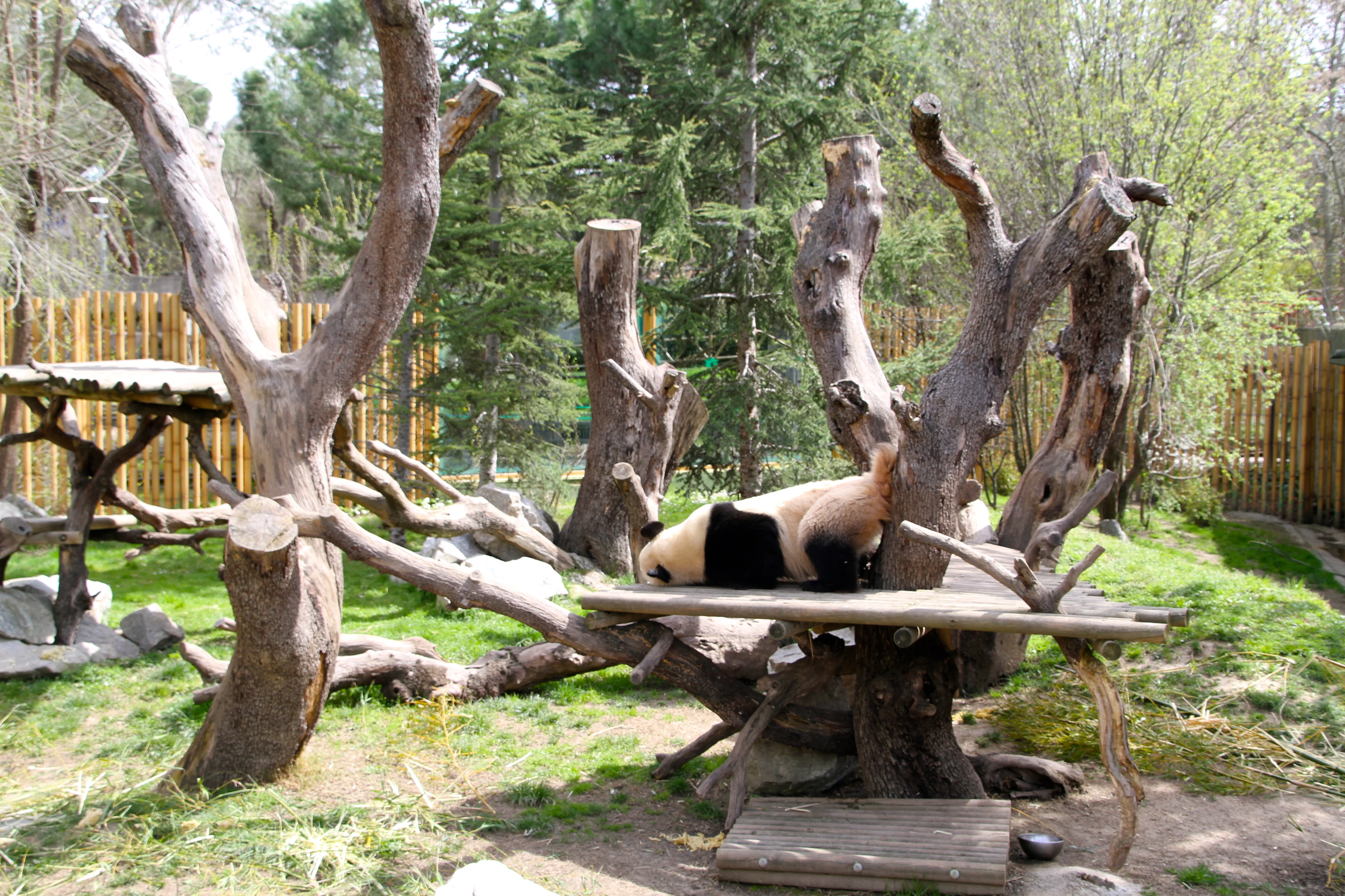 Zoo Madrid