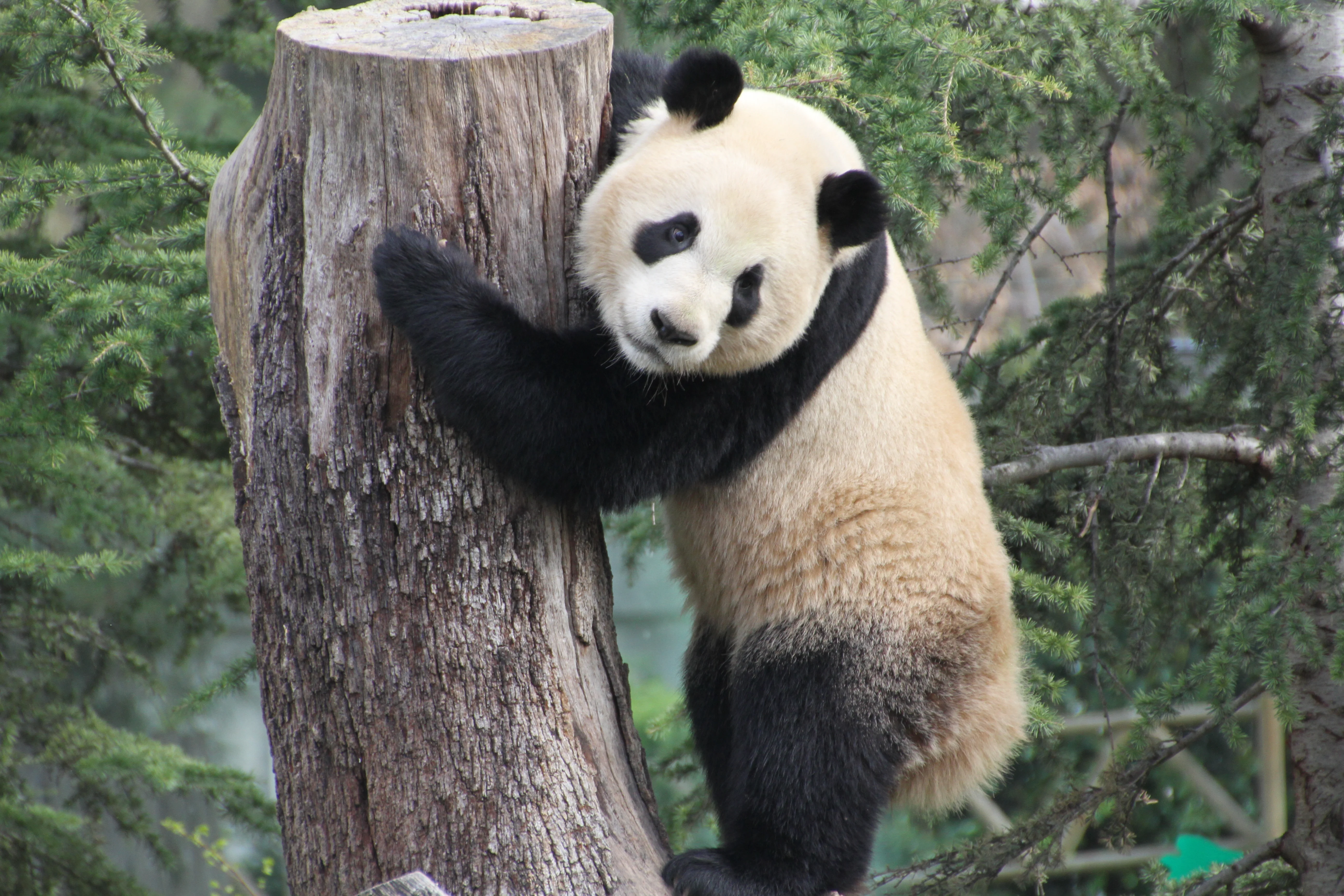 Zoo Madrid