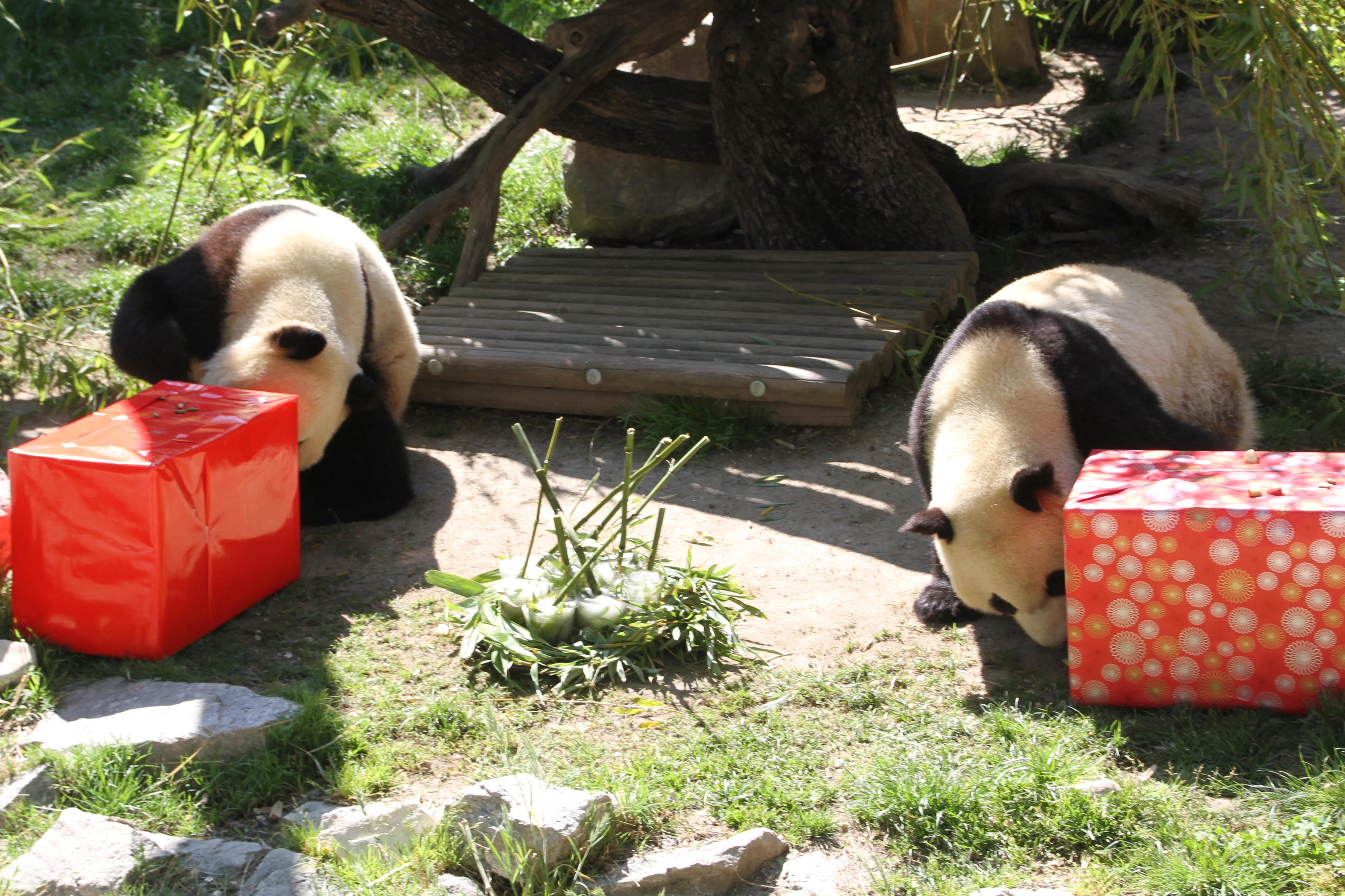 Zoo Madrid