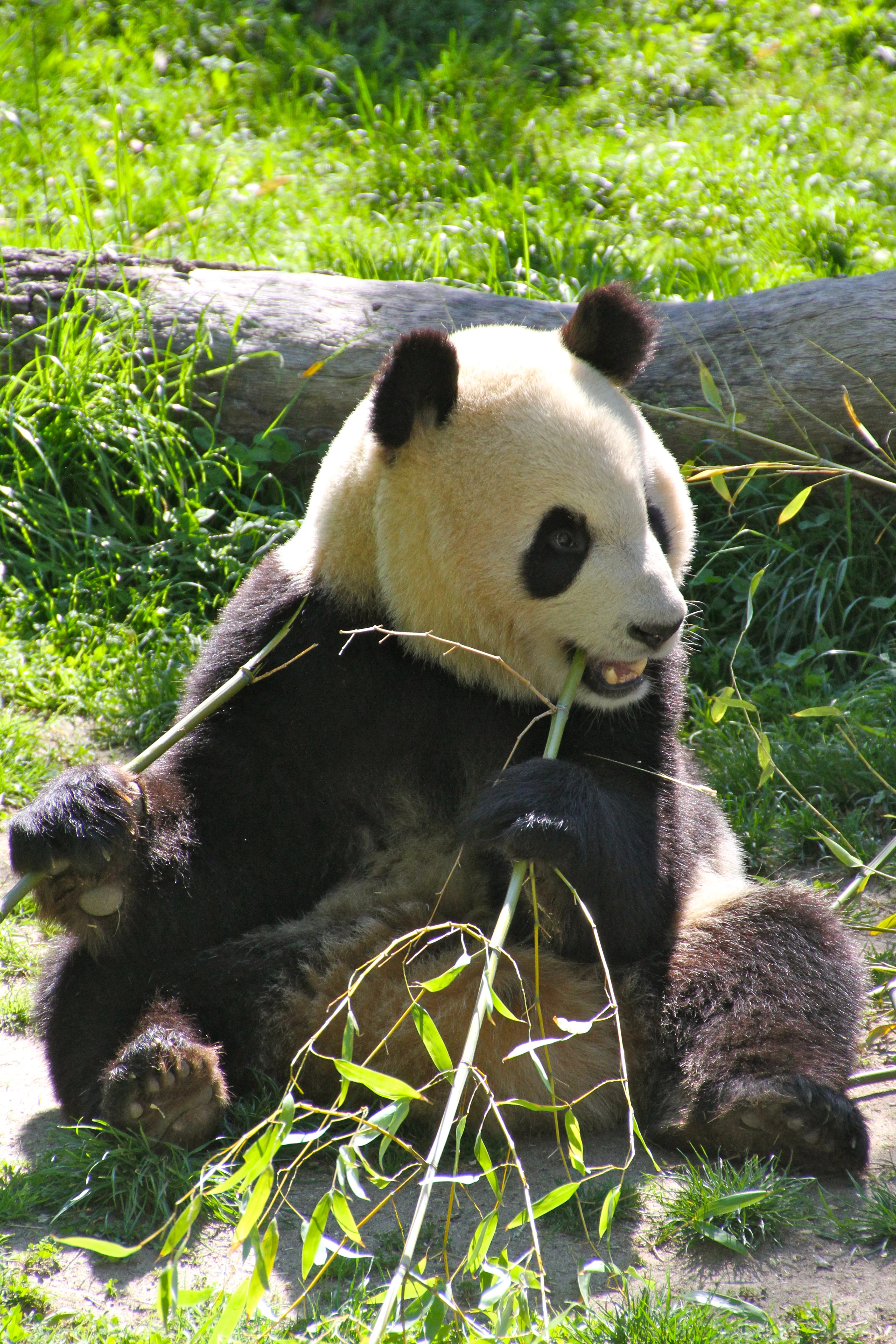Zoo Madrid