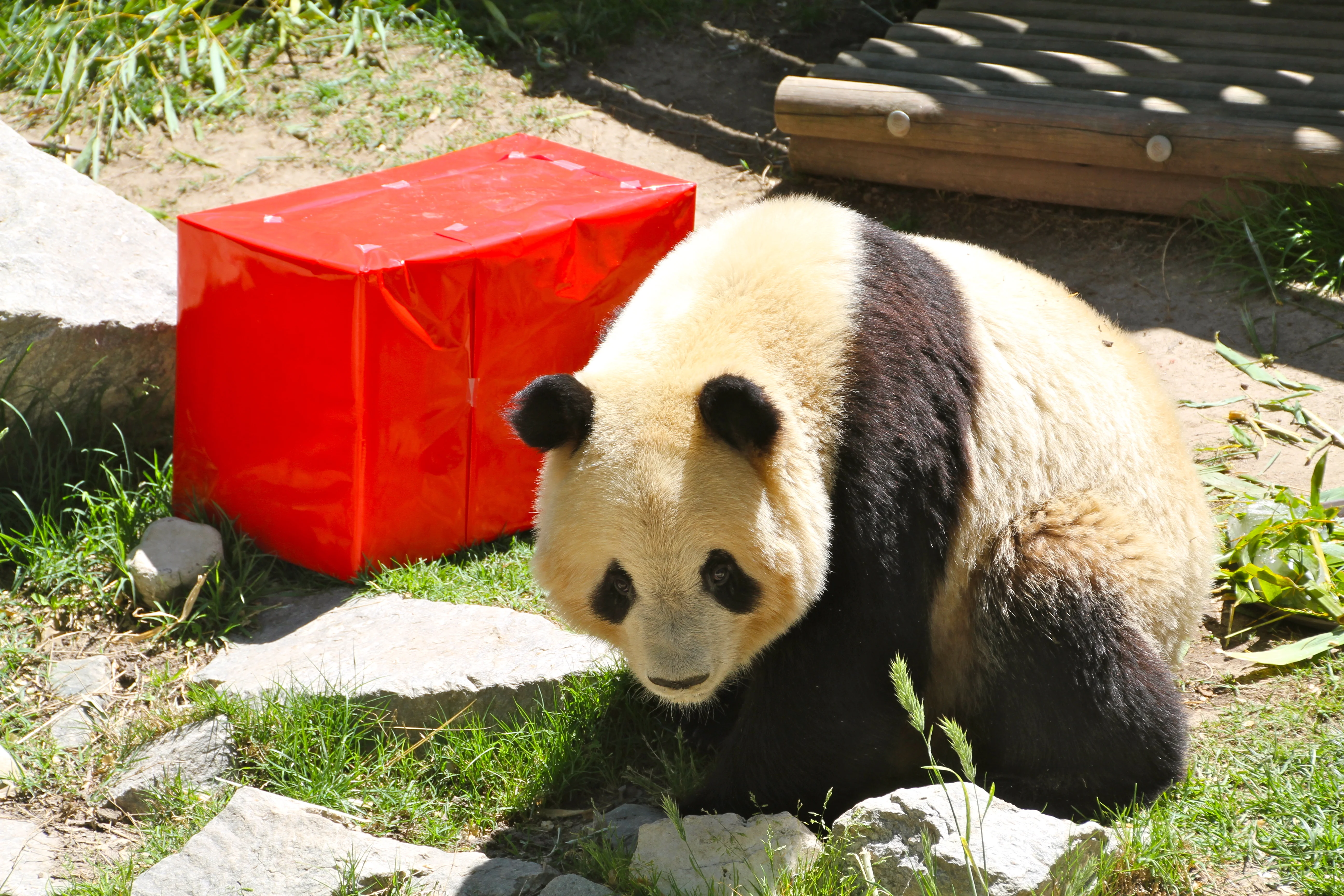 Zoo Madrid