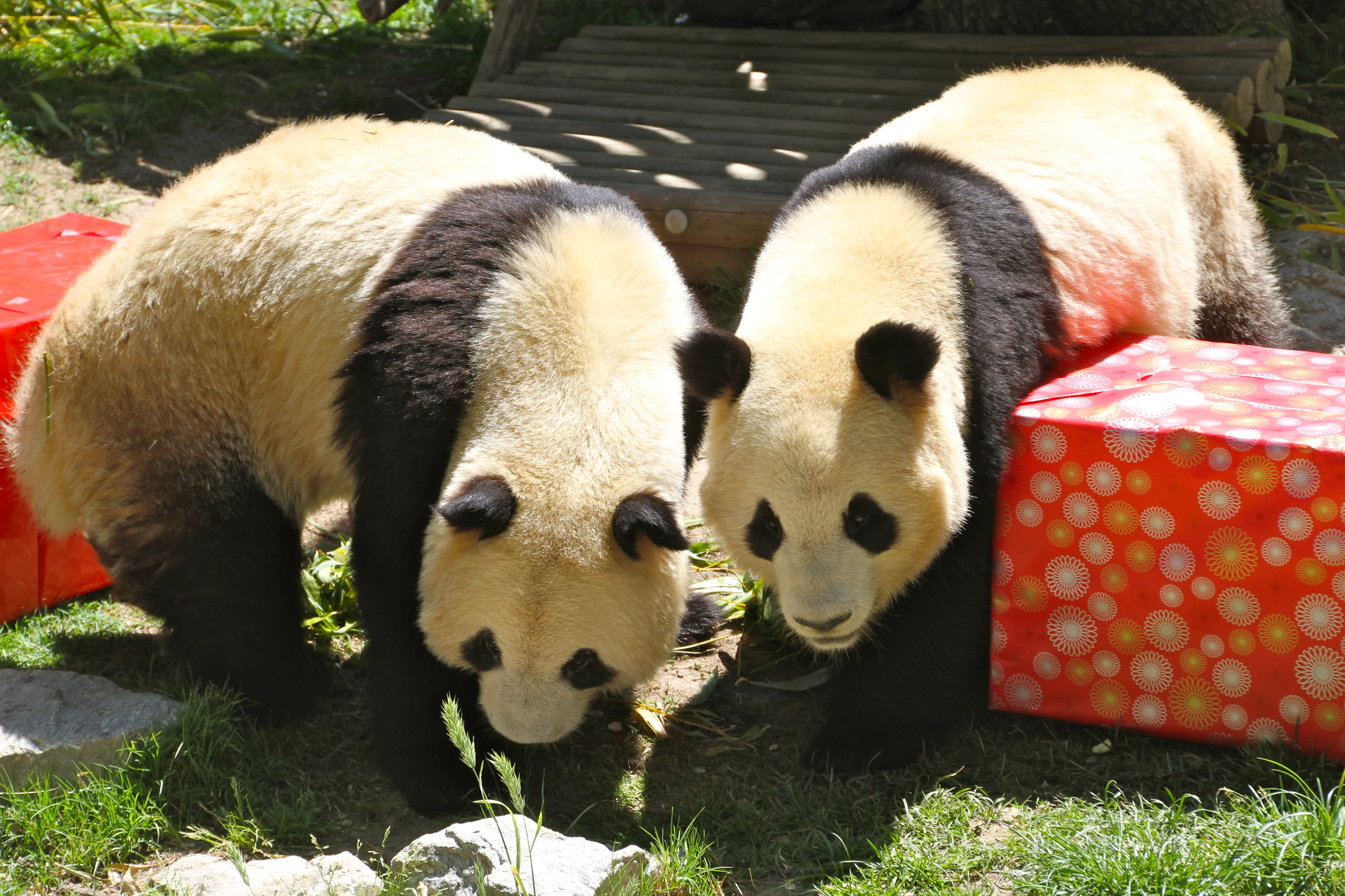 Zoo Madrid