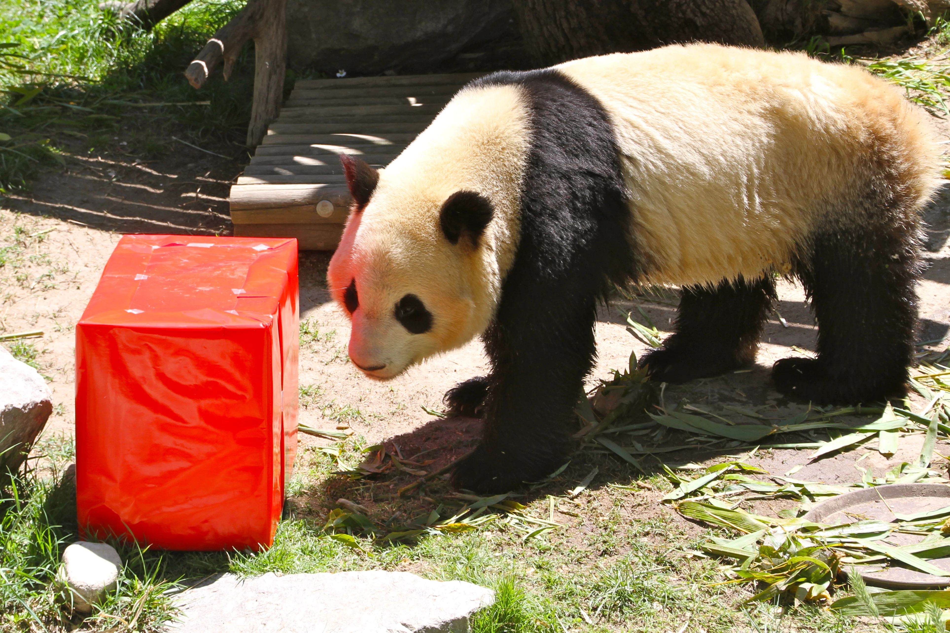 Zoo Madrid