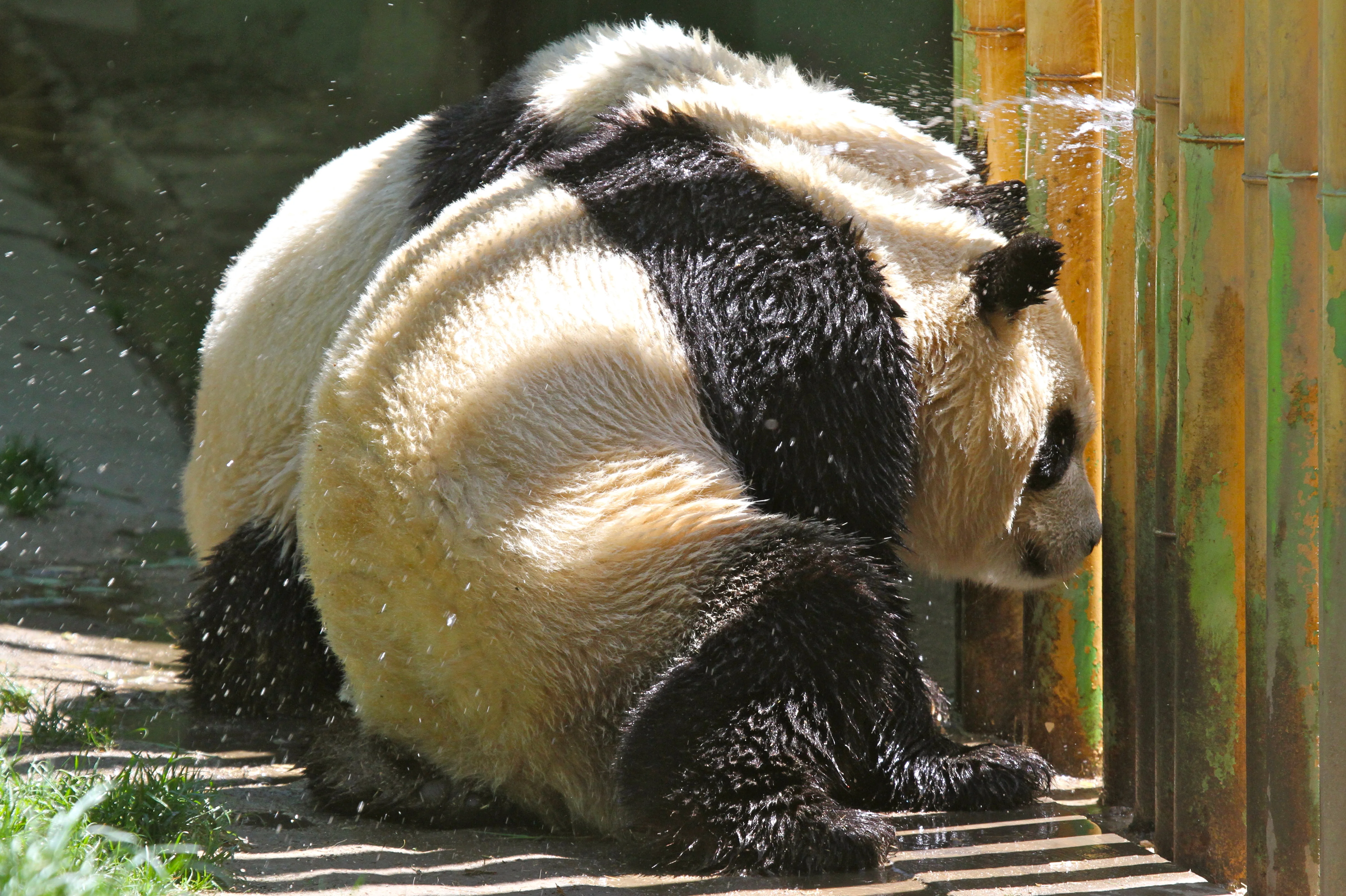 Zoo Madrid