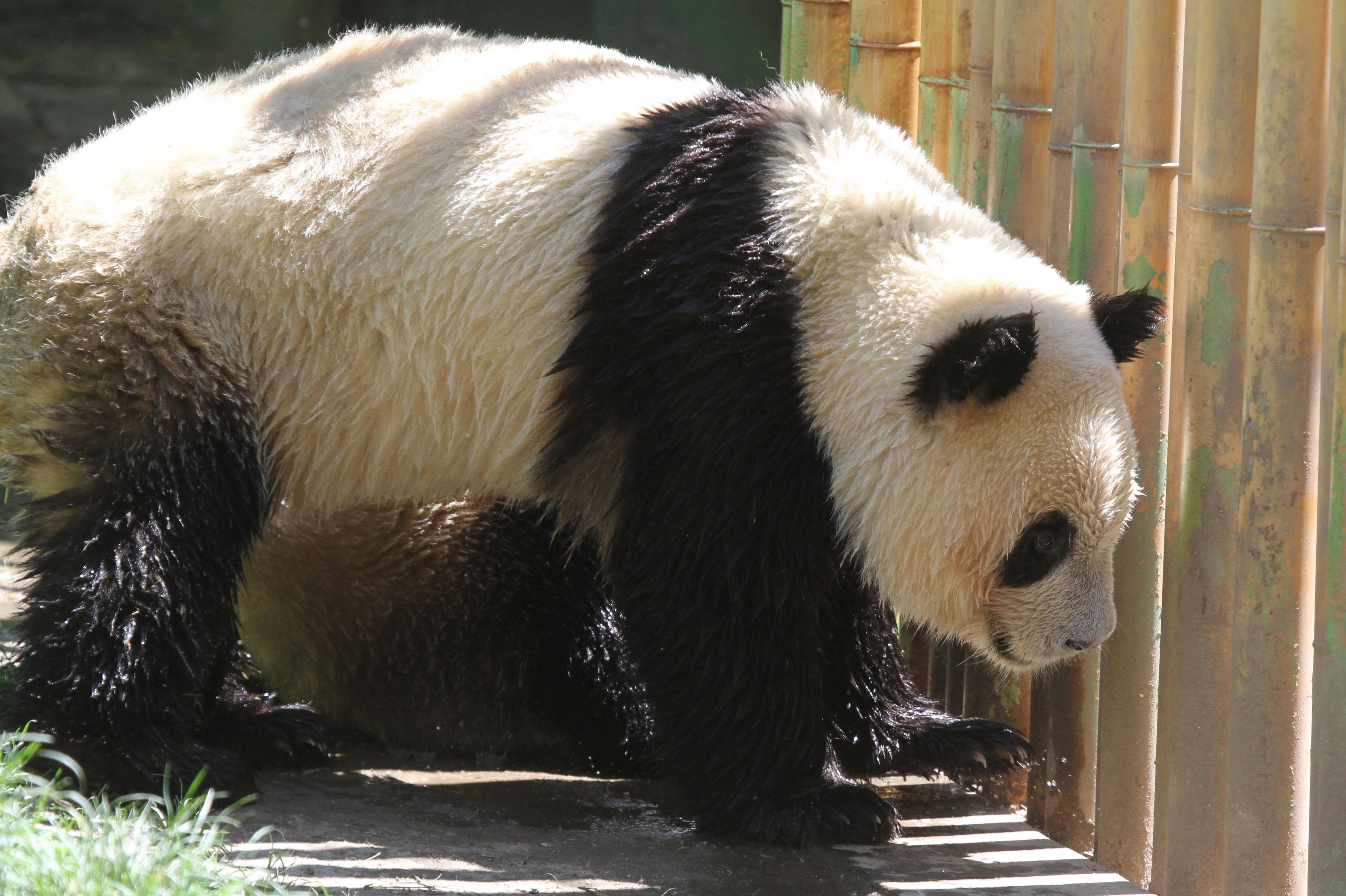 Zoo Madrid